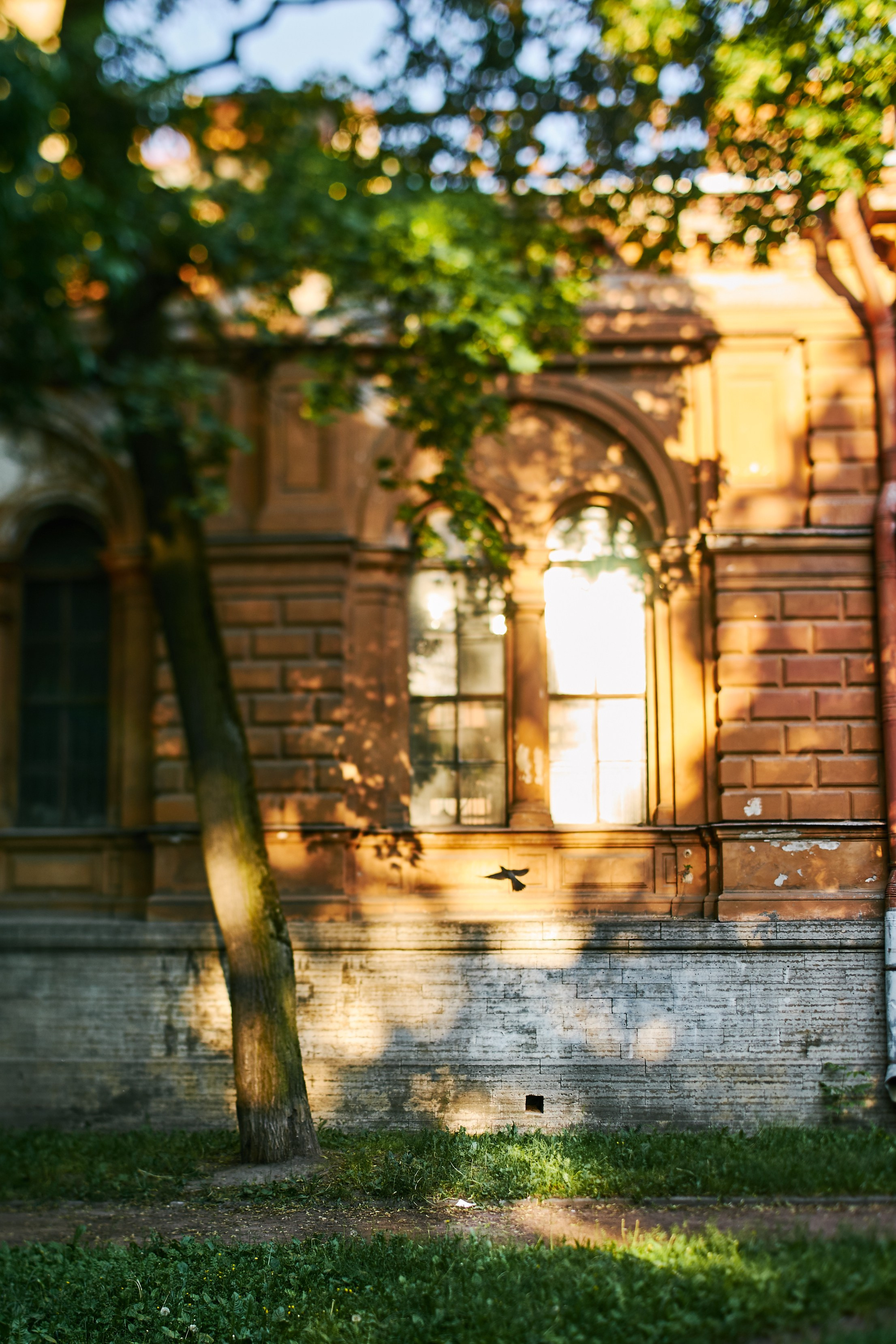 Alex & Darya. Vutitsa