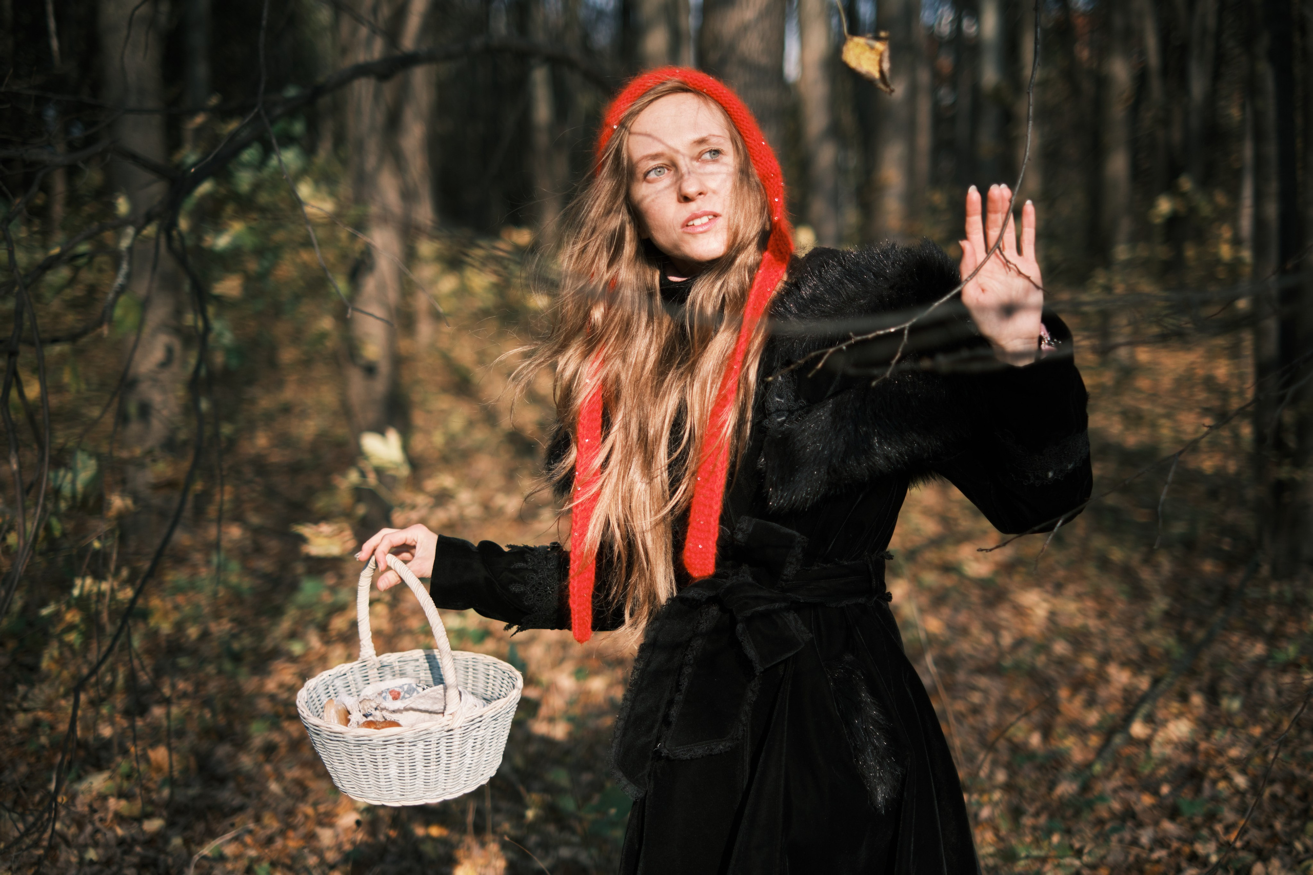 Красная Шапочка пробирается сквозь лес