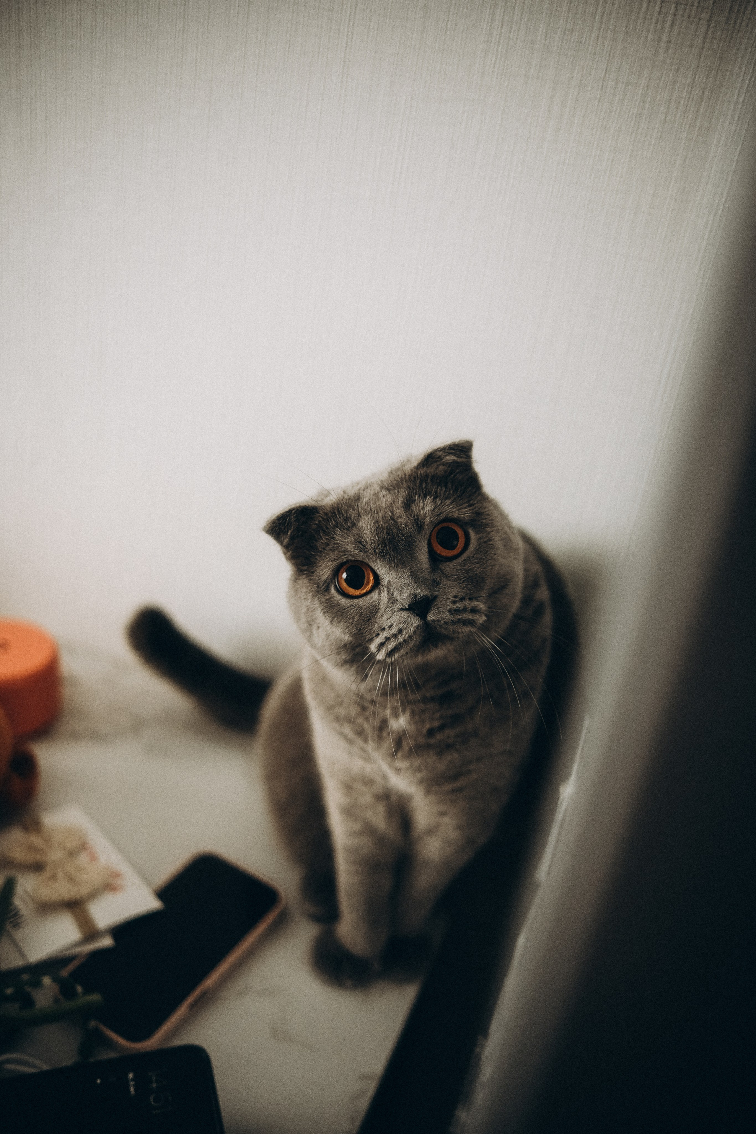 Дана&Вася&Ника. Phdkvmr.ru