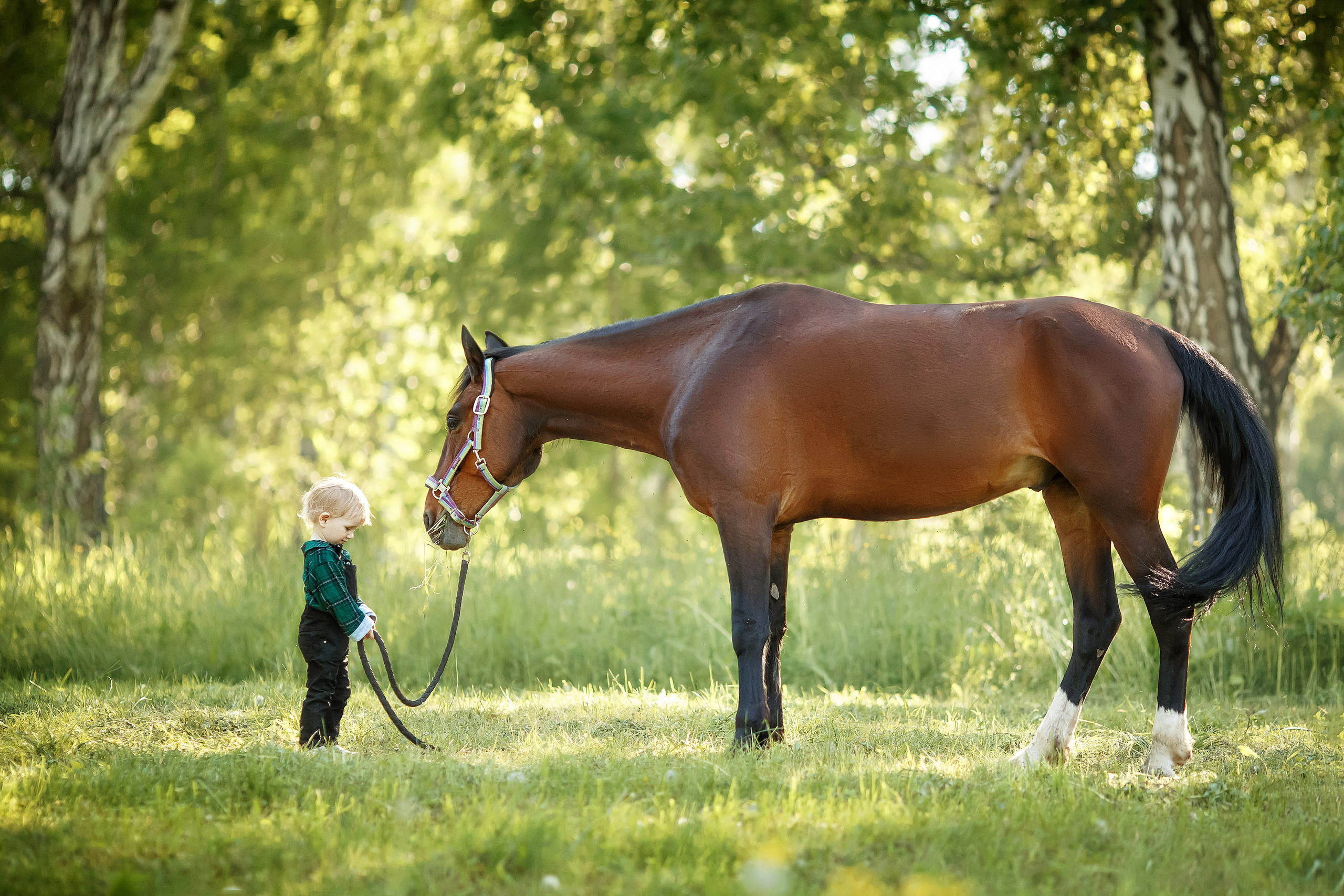 С конем. Сказочный фотограф фотопроекты фототуры в Новосибирске и на Алтае