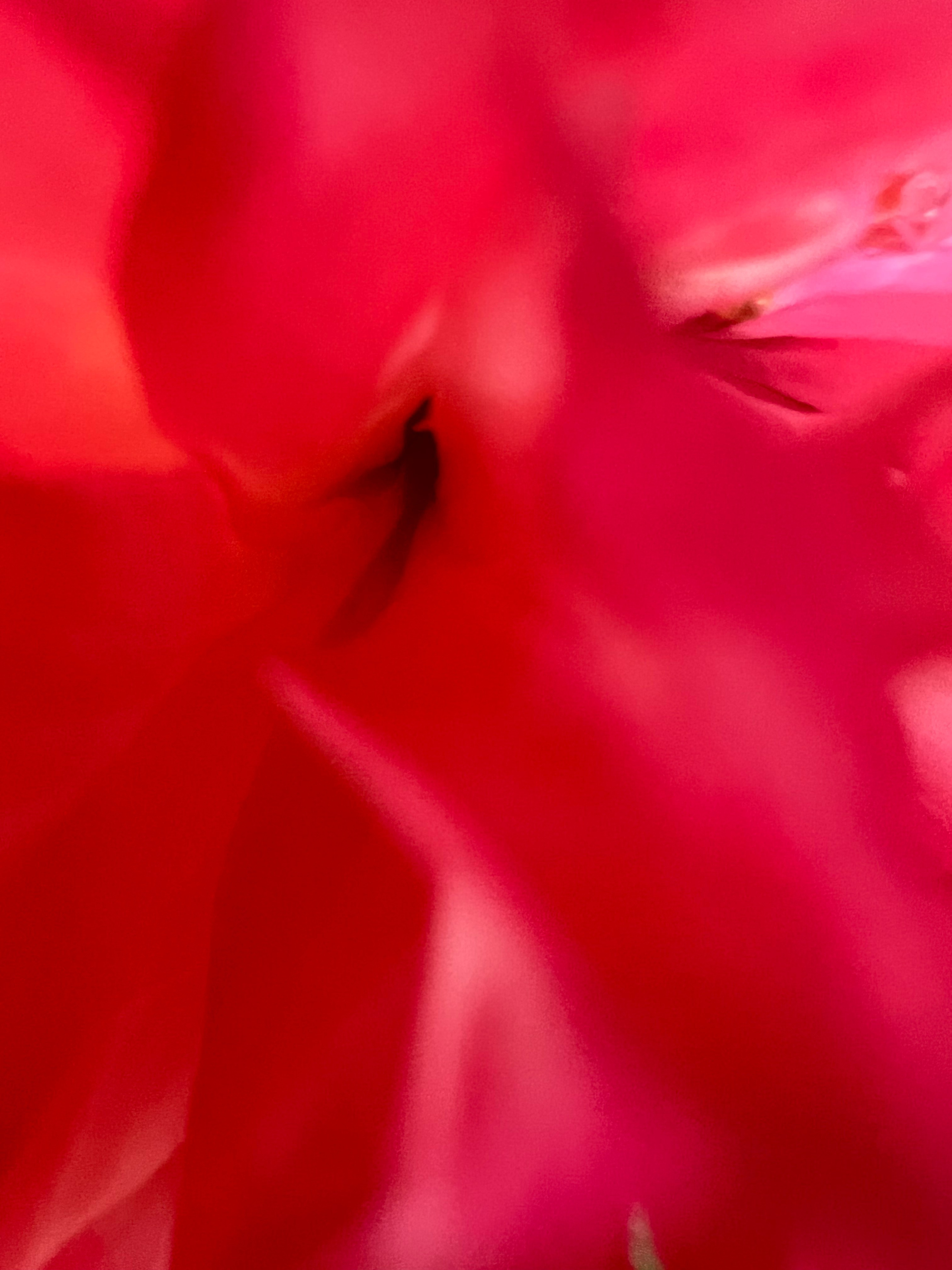 Fragments. Artem Khusainov