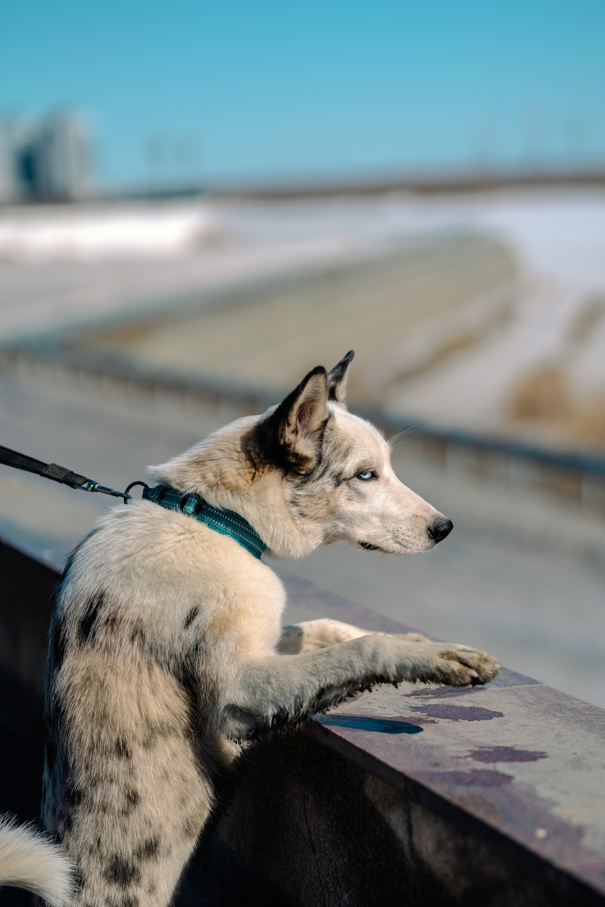 Якутск, Апрель 2024