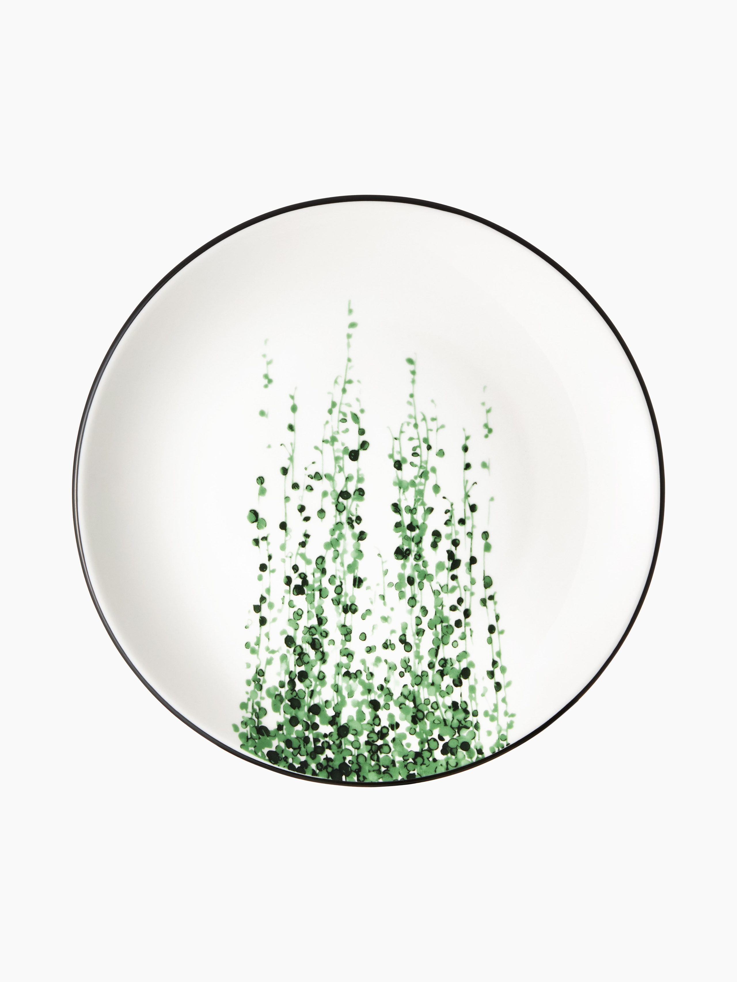 Каталог на белом фоне. Портфолио