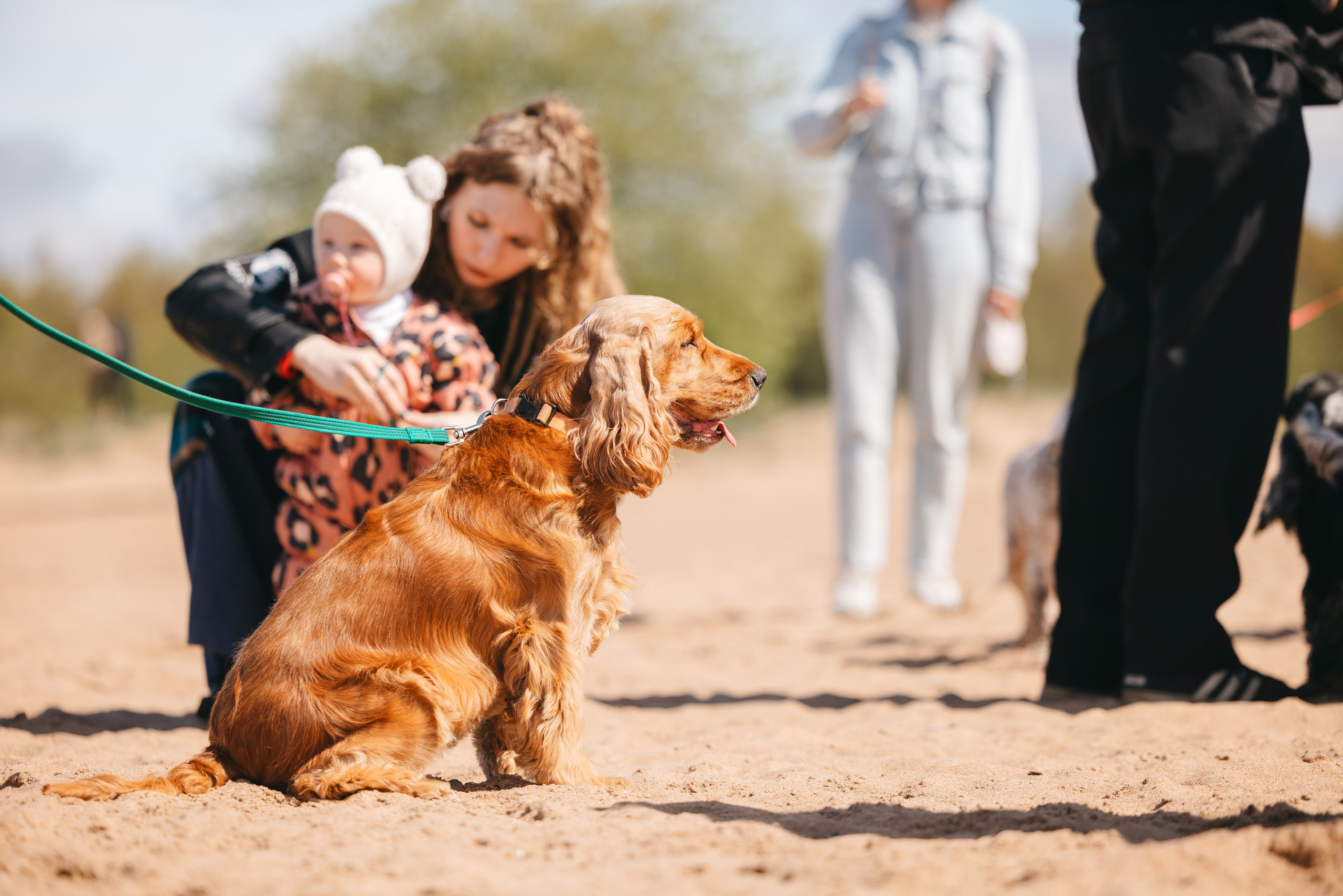 Спанимания. Фотограф анималист Осипчикова Мария
