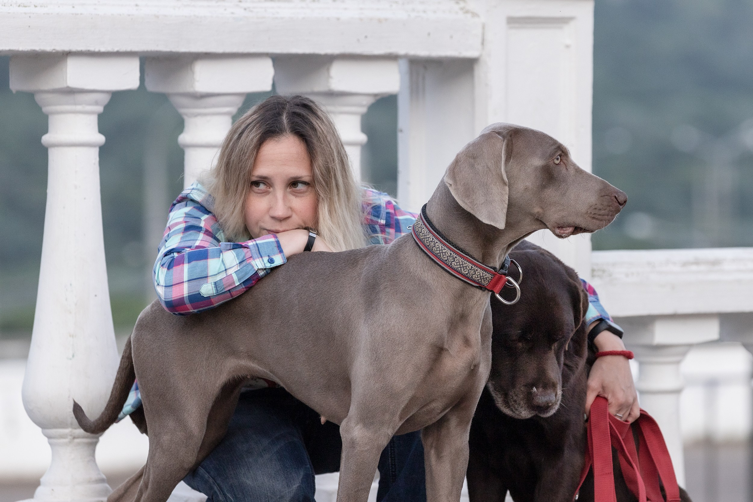 Оля, Джек и Айса. Фотограф-анималист в Калуге Мария Шерскова