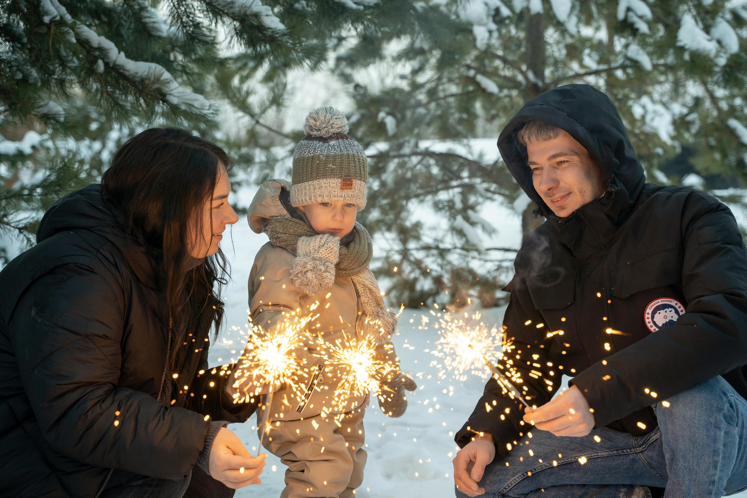 Зимняя прогулка. Главная