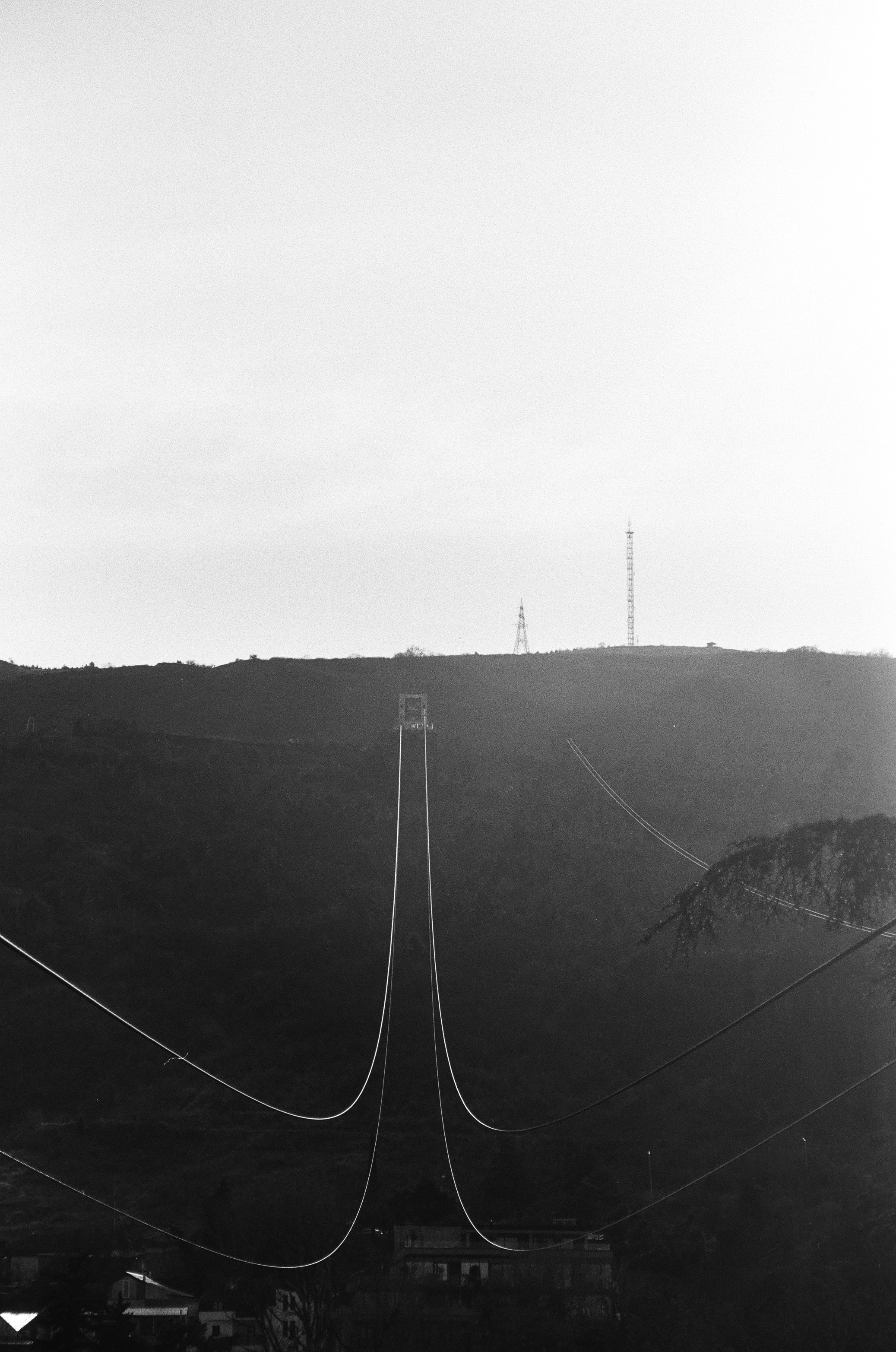 ON THE GO. Сocoobird || Атмосфера твоего бренда в снимках и видео