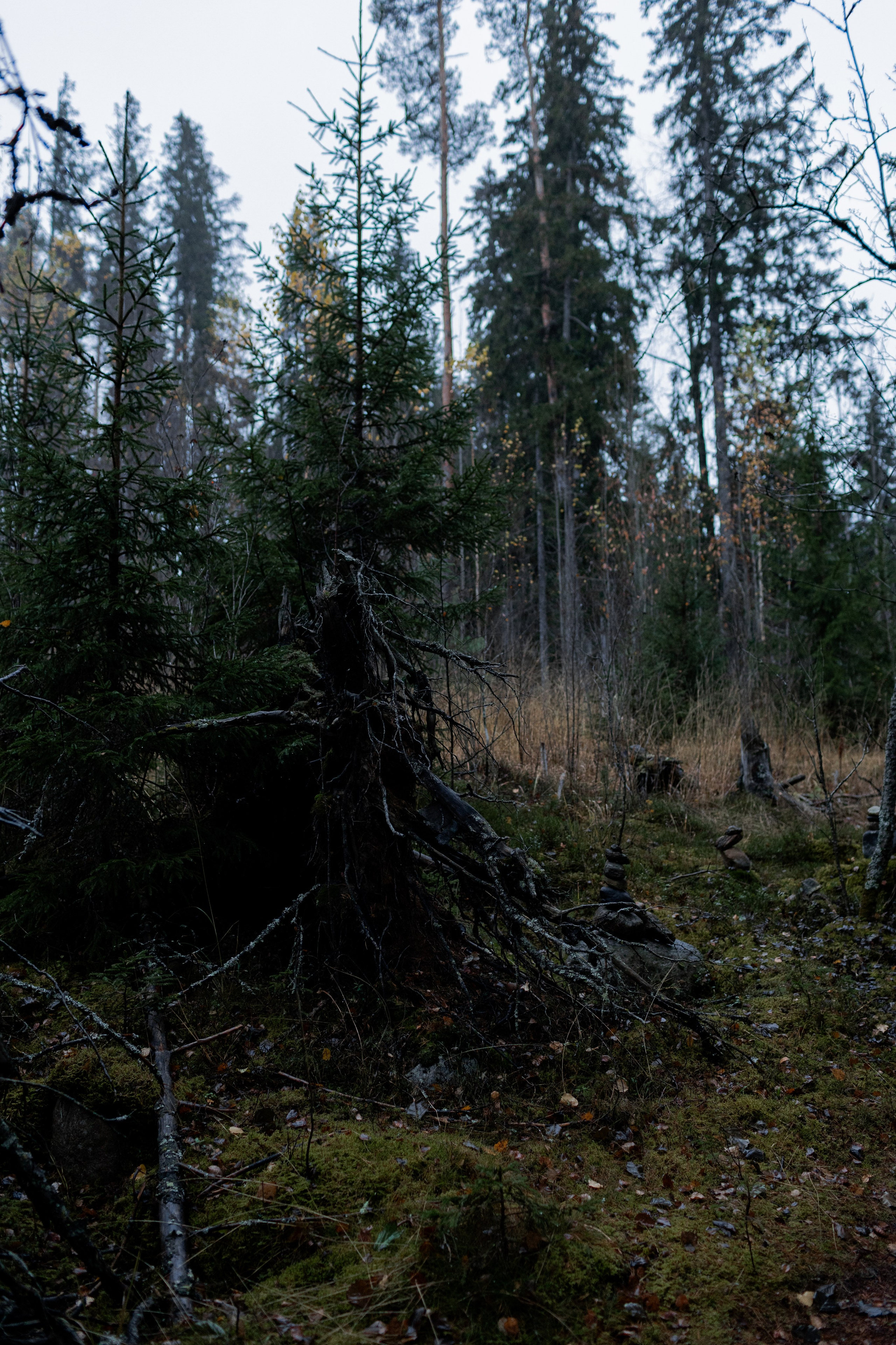 Съемка для глемпинг-отеля Хюгге Кэмп. Природа. Саша Кушнерова Фотографии. Sasha Kushnerova Photos