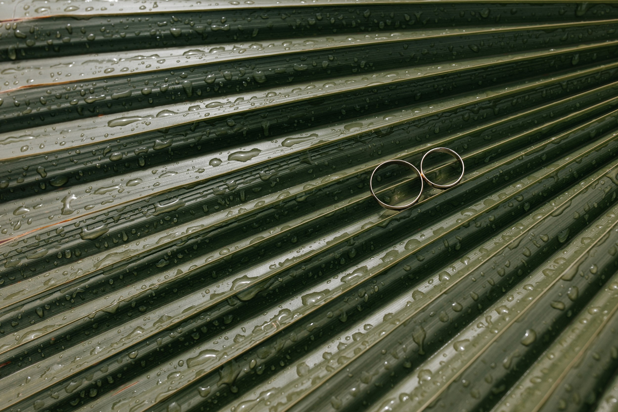 Свадебный фотограф в Москве Дарья Олендарёва