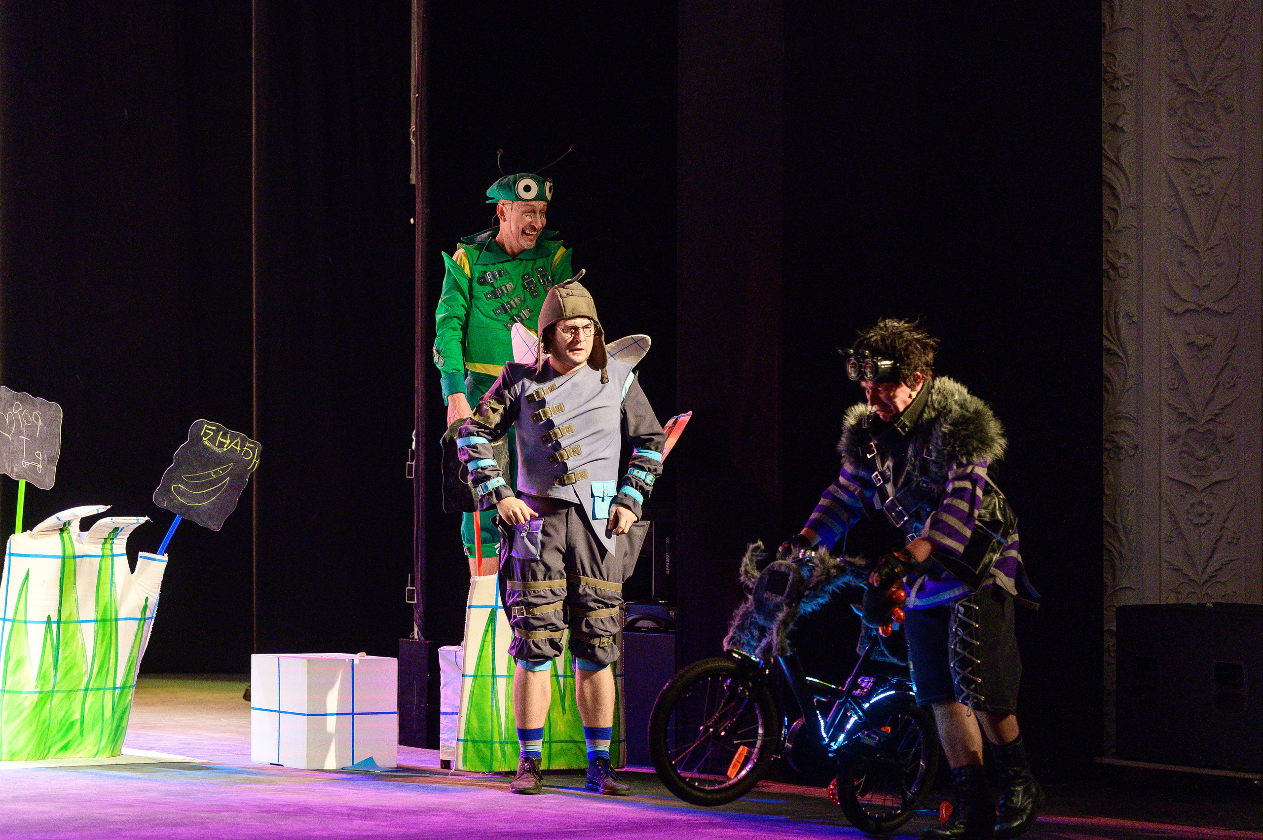 Муха Цокотуха. Фотоуслуги, услуги фотографа, фотографирование важных событий