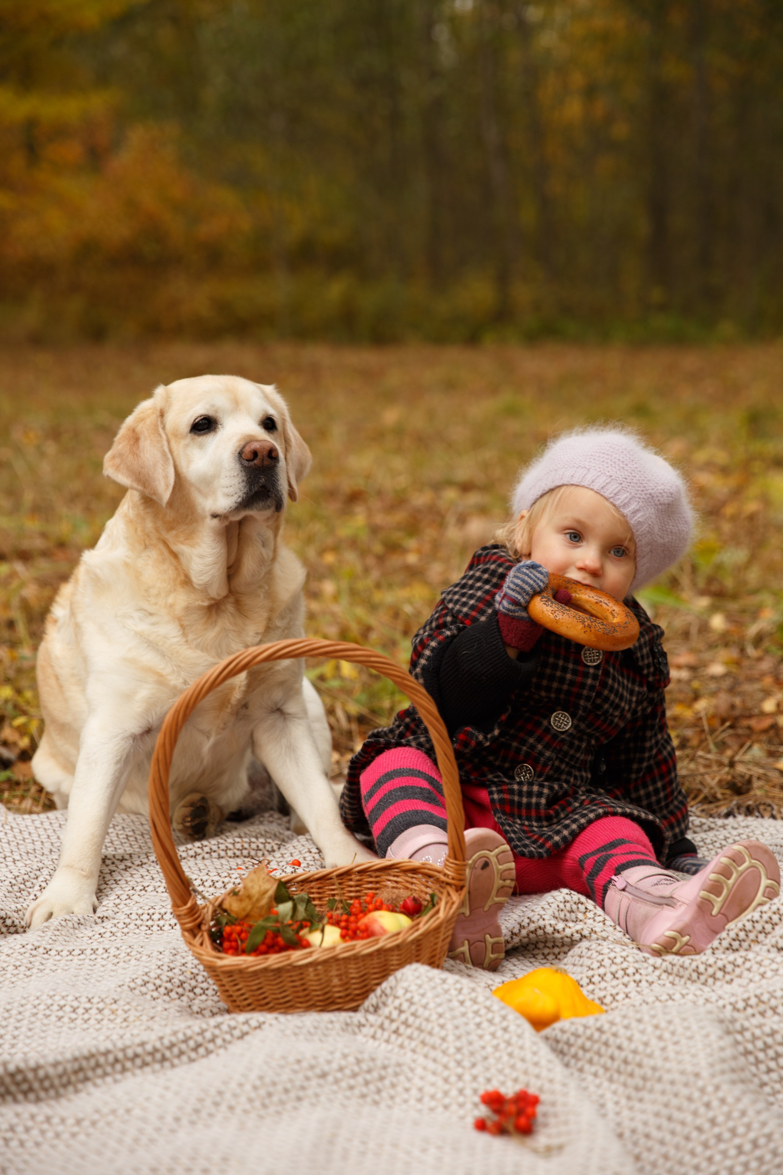 Осенним днём. Детский и Семейный фотограф в Санкт-Петербурге
