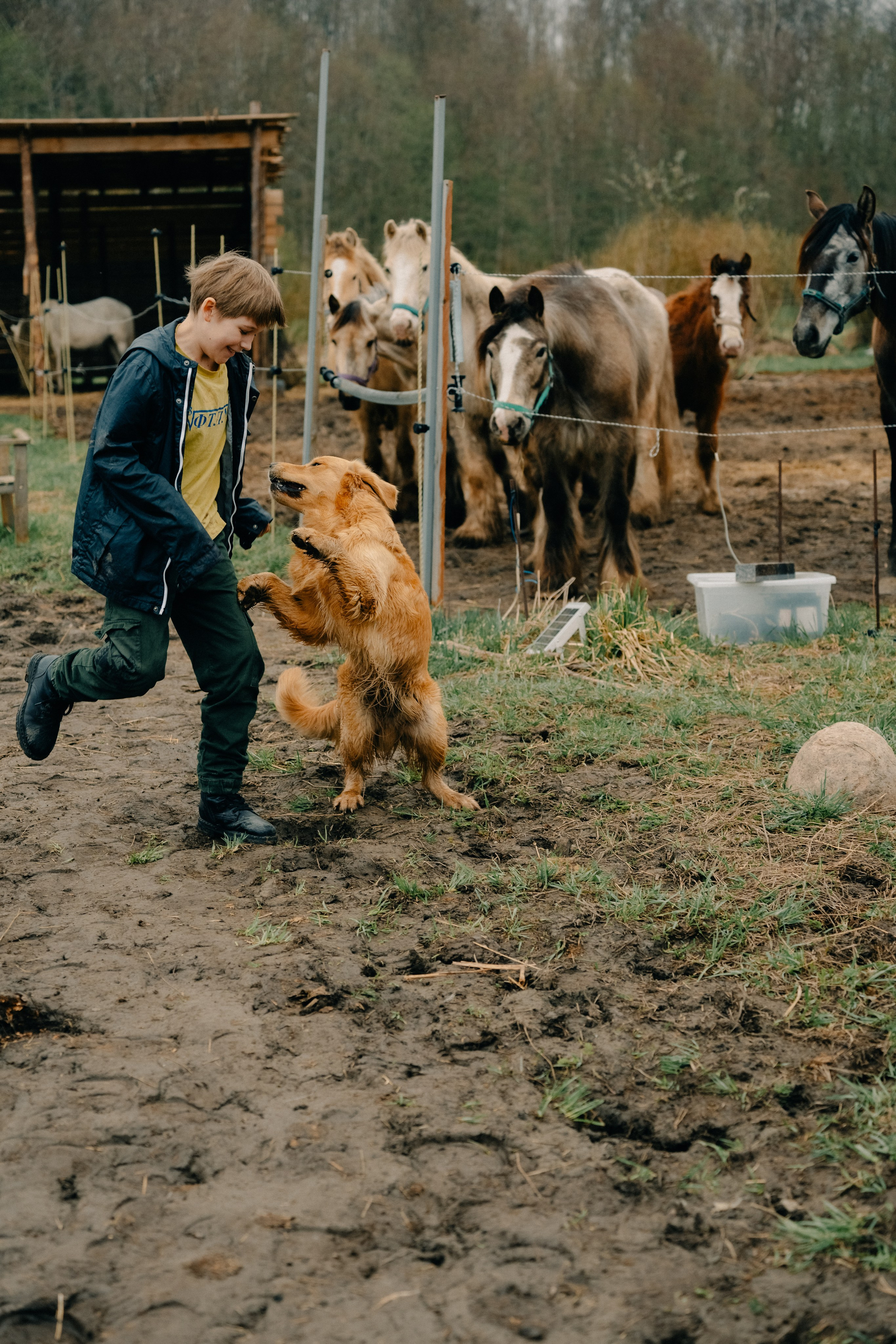 Зоопарк в моём багаже. Кошенкова Мария: портретный и репортажный фотограф. Санкт-Петербург