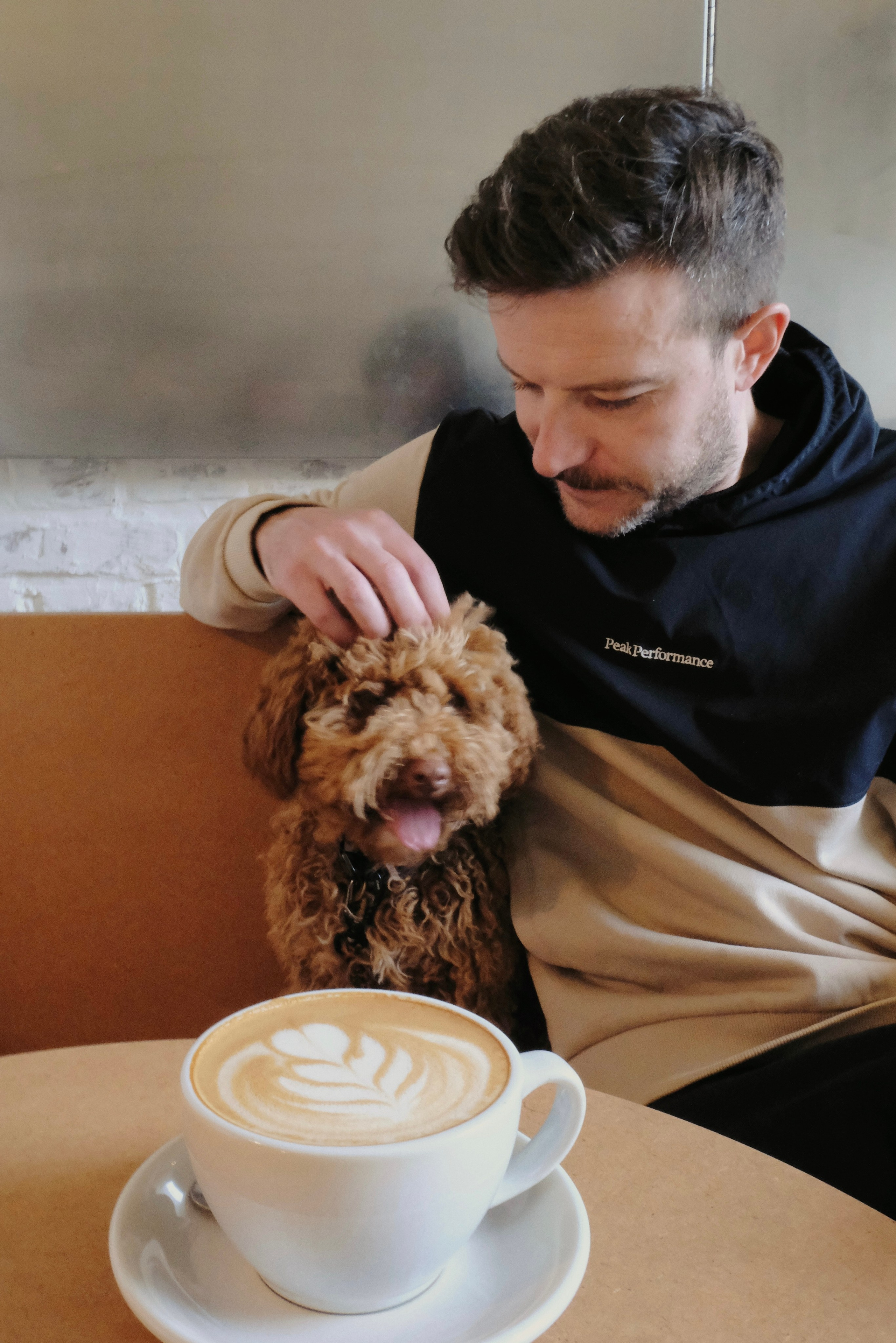 Питомцы. Татьян гертье