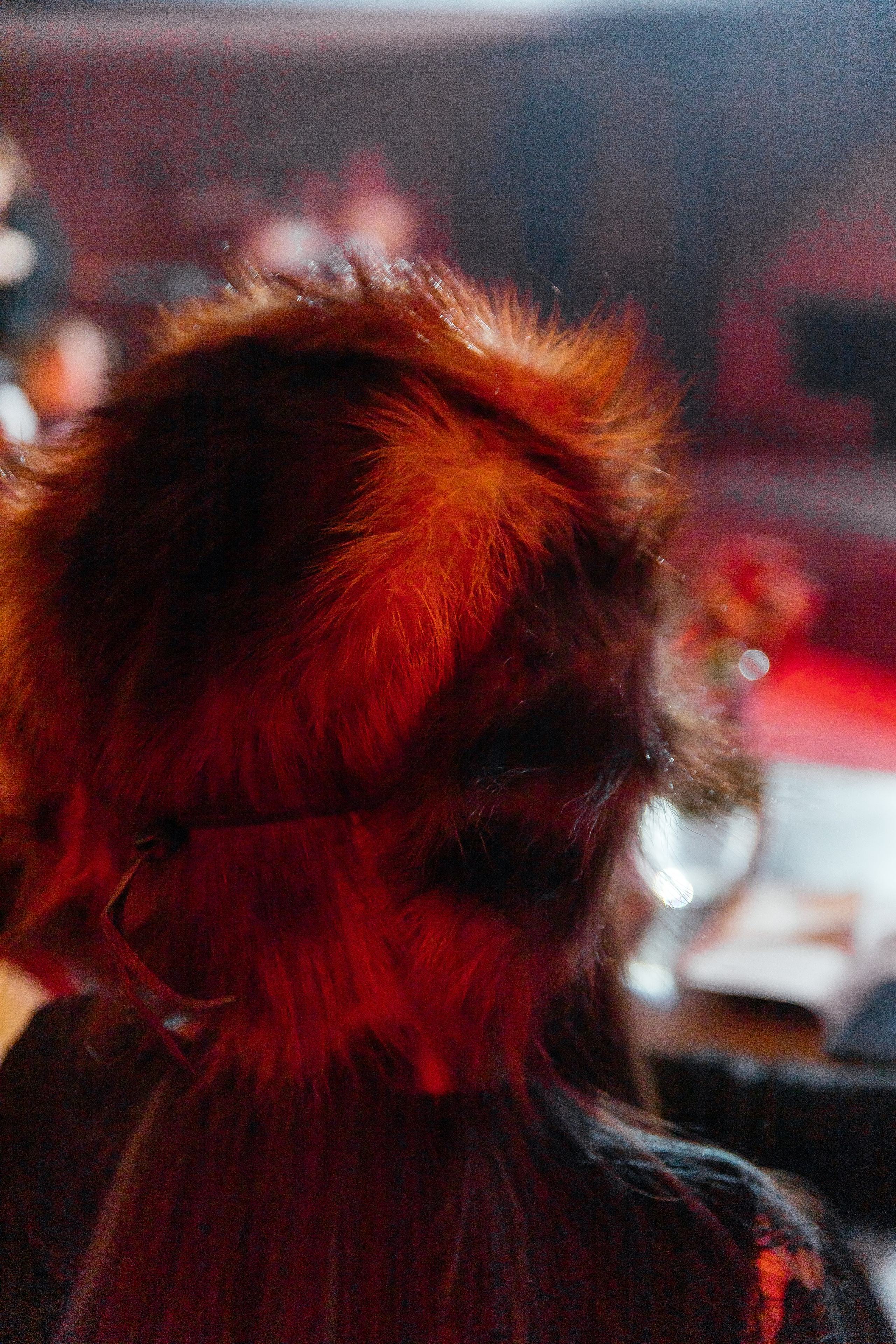 Мех и Смех. Фотограф в Красноярске Любовь Малеева