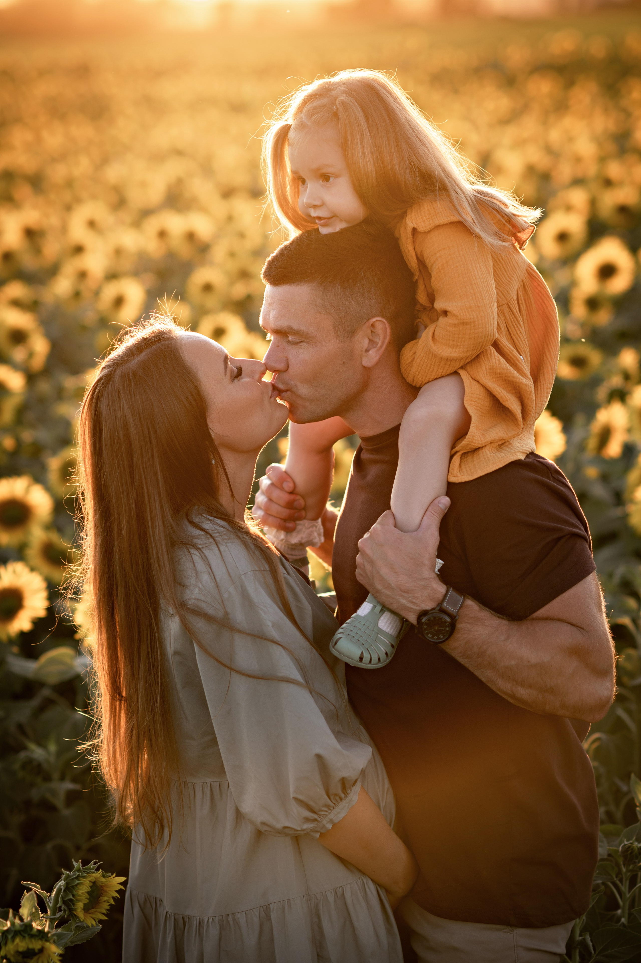 Подсолнухи. Семейный фотограф в Красноярске Надежда Кошелева
