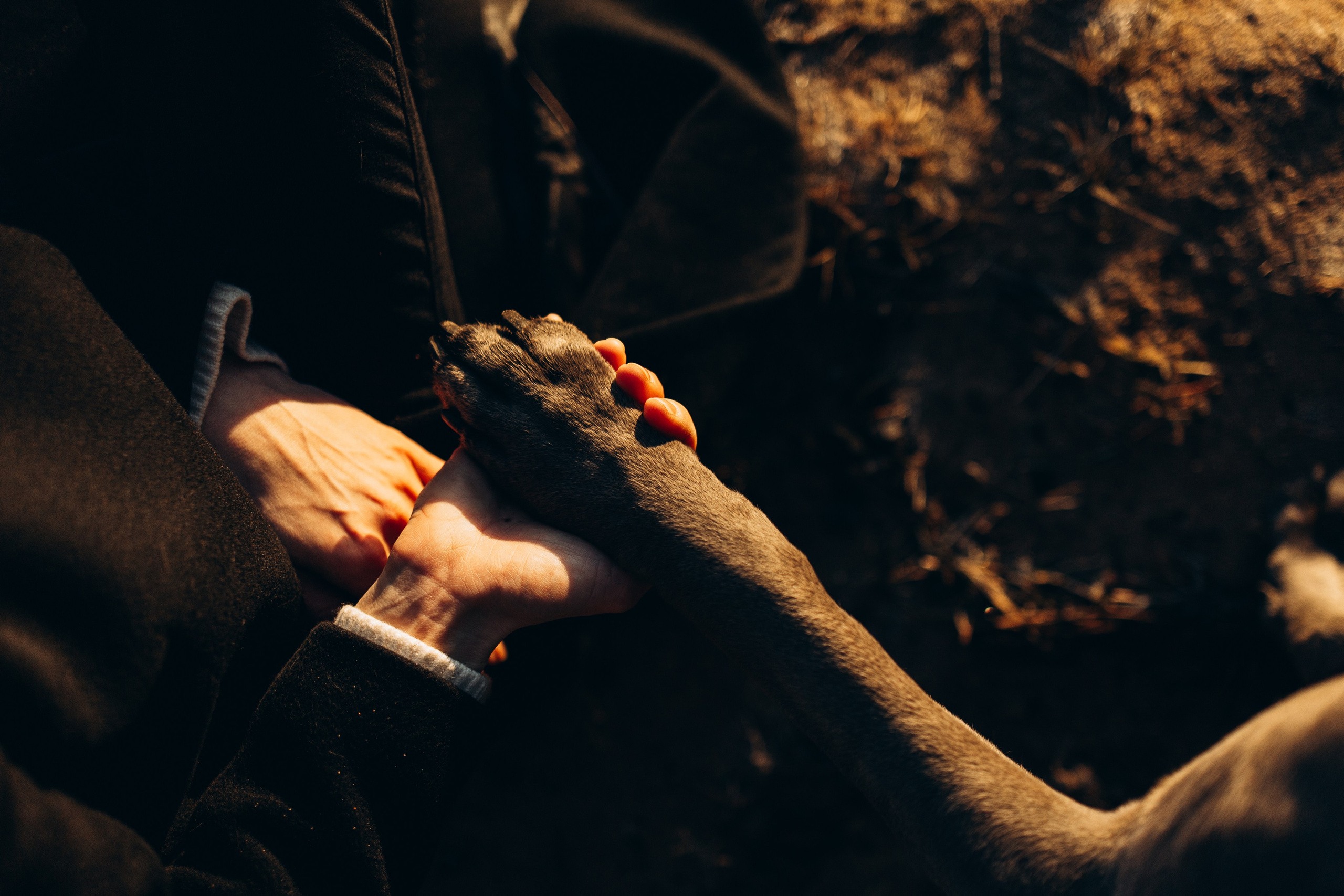 Анна и Лана. Фотограф — Анималист | Санкт-Петербург