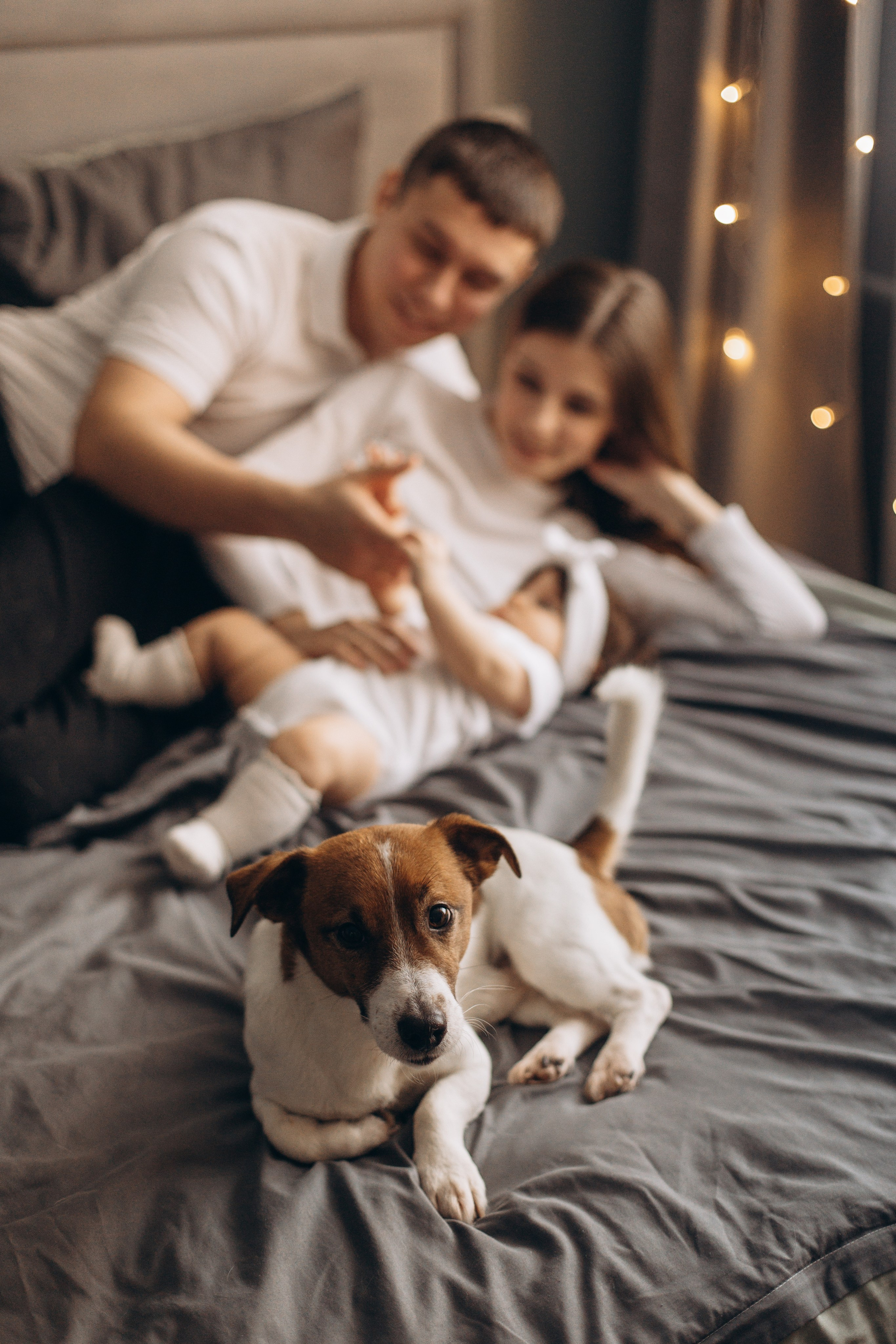 Джой и его семья. Фотограф — Анималист | Санкт-Петербург