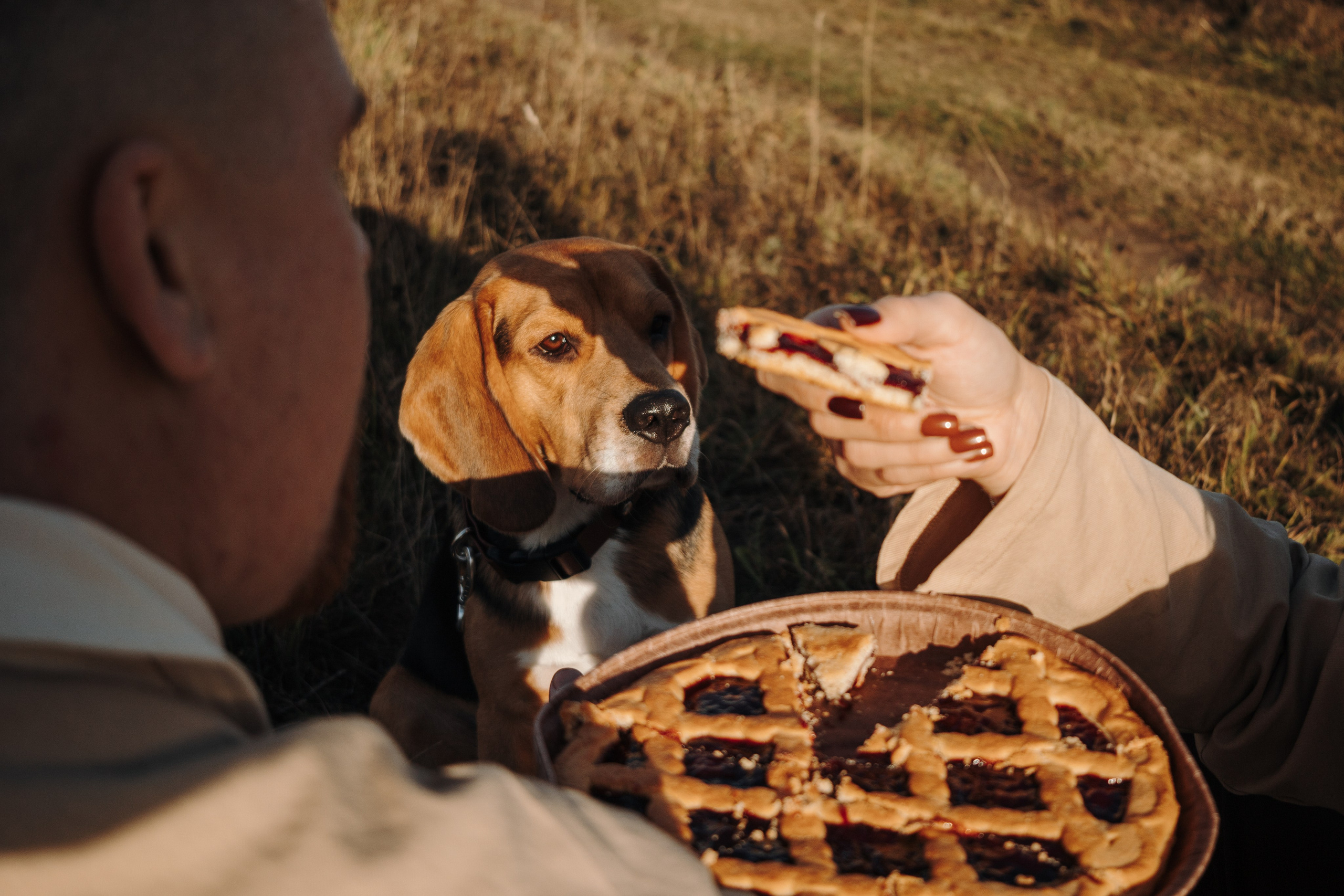 Оуджи и его семья. Фотограф — Анималист | Санкт-Петербург