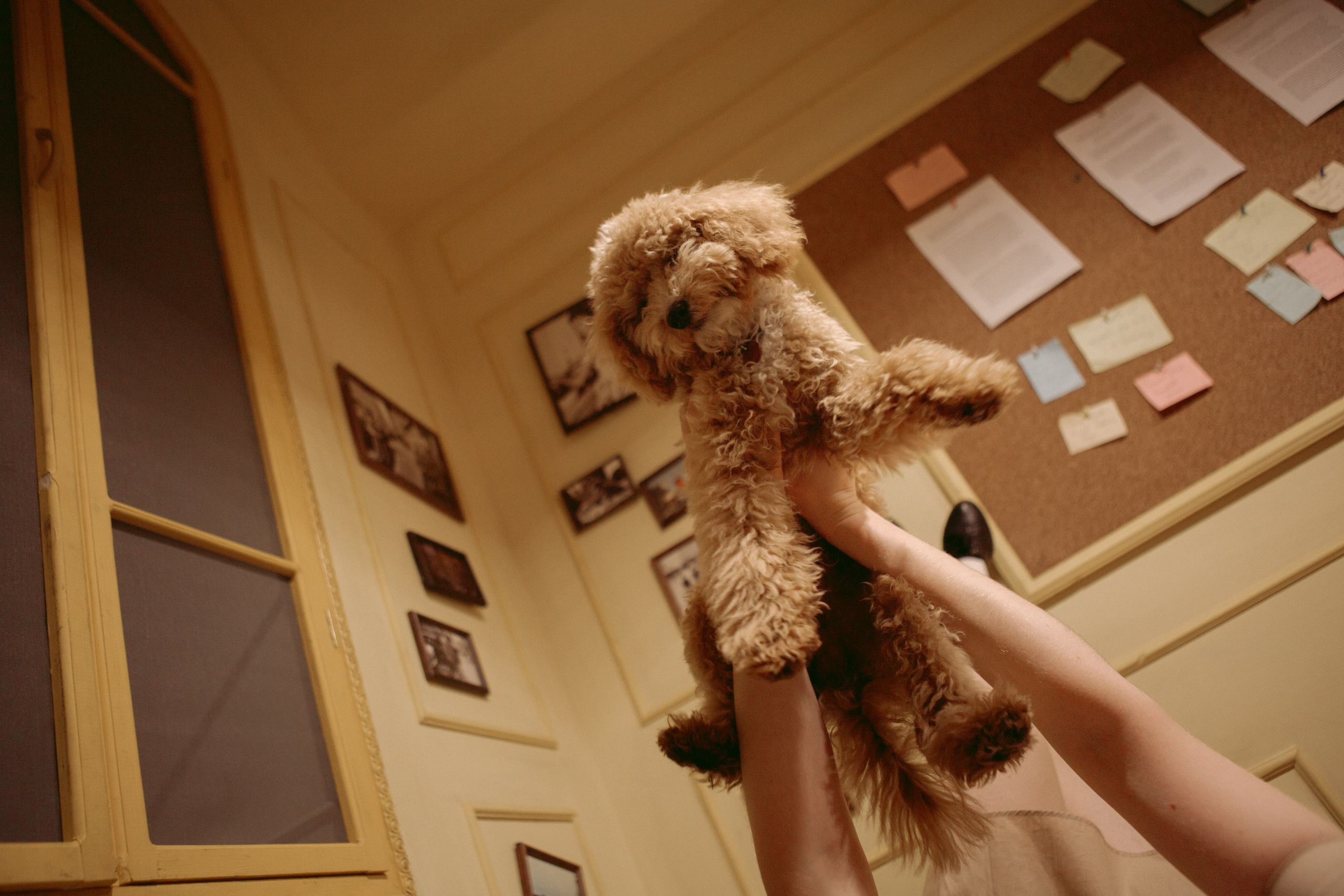 A cinematic daydream in the spirit of Wes Anderson’s style. Portrait, family and pet photographer in Cyprus, Ksenia Bourdelle