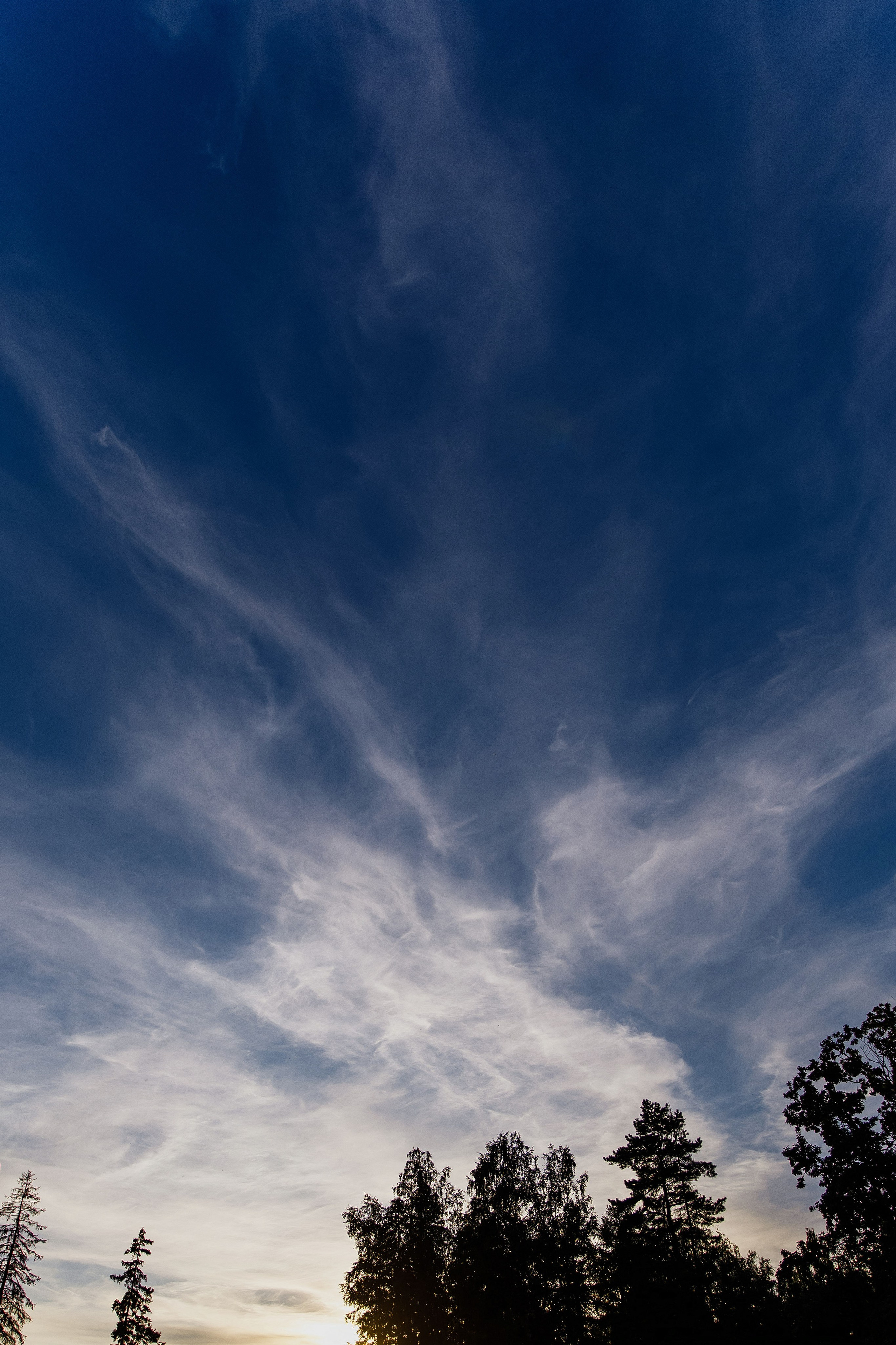 Татьяна и Денис. Фотограф Светлана Голицына
