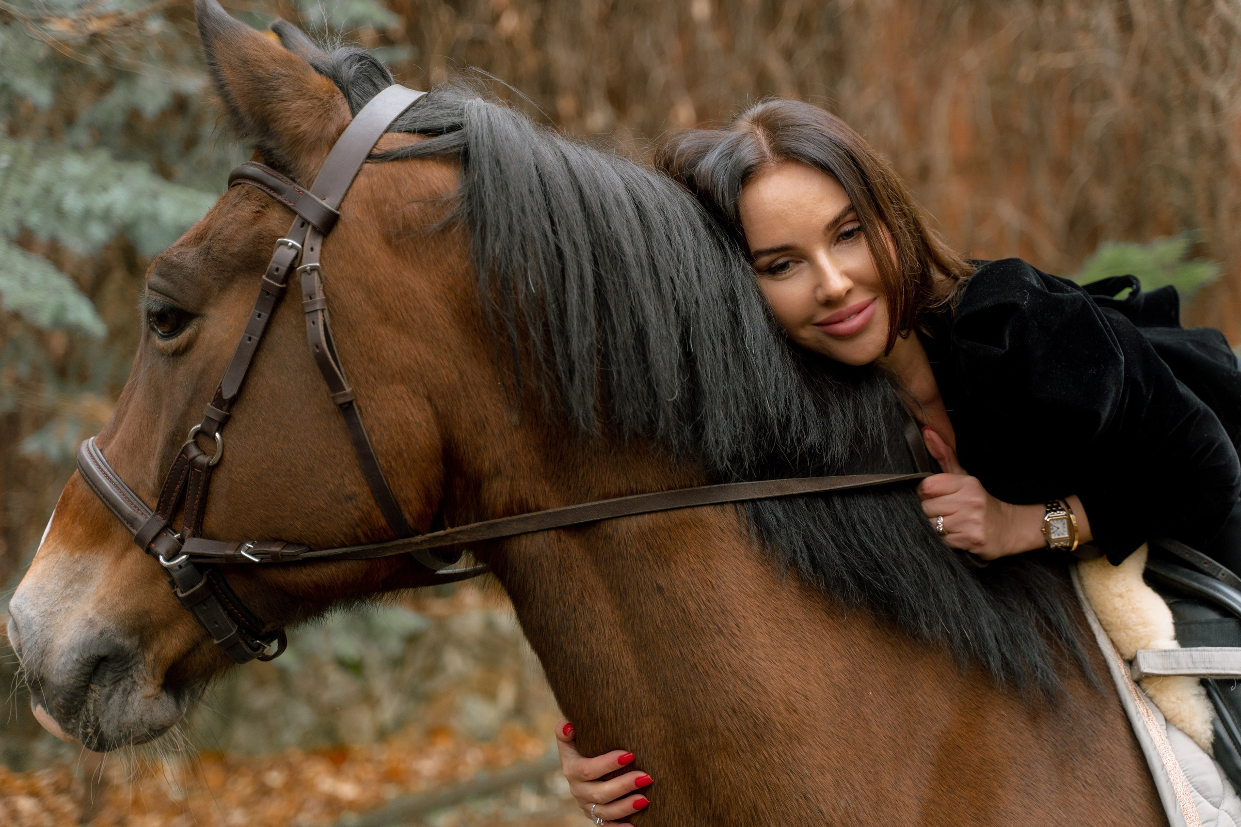 Фотосессия с лошадьми. Главная