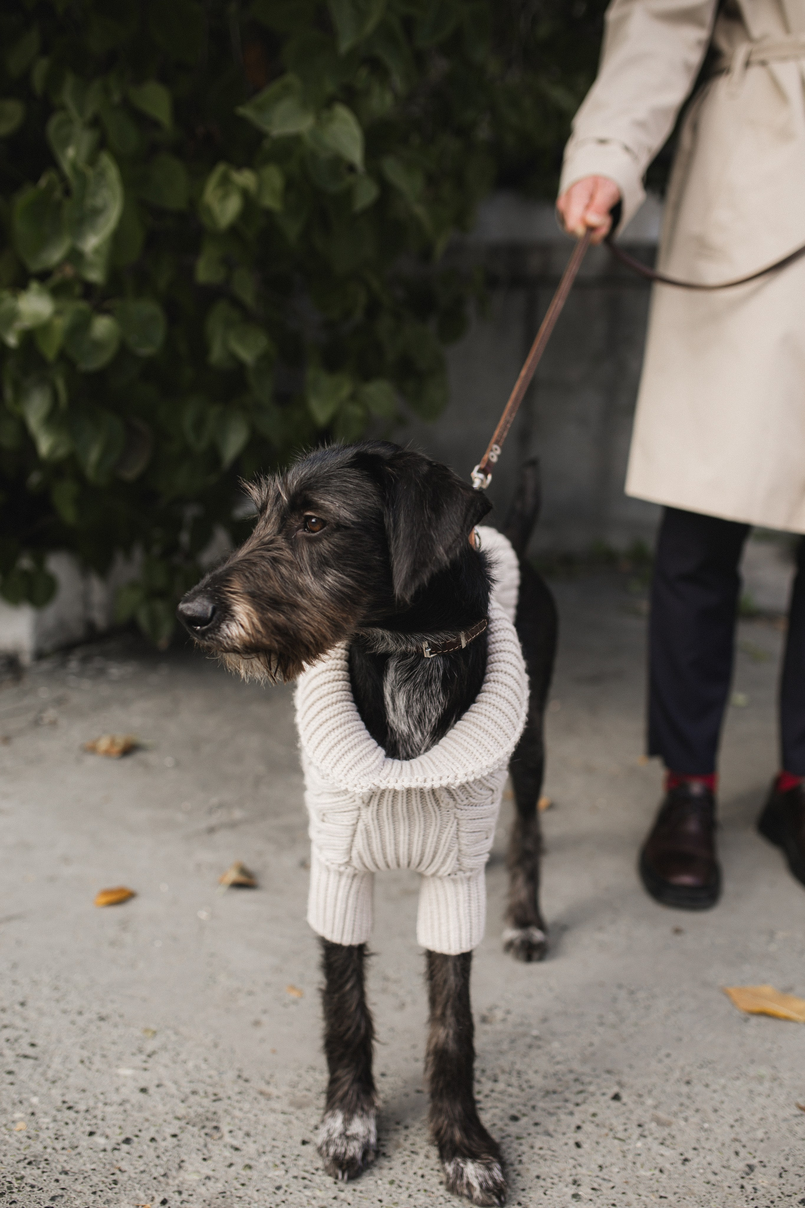 Наташа и Антон, Найда и Инди. Семейный и свадебный фотограф в Екатеринбурге Орлова Ирина