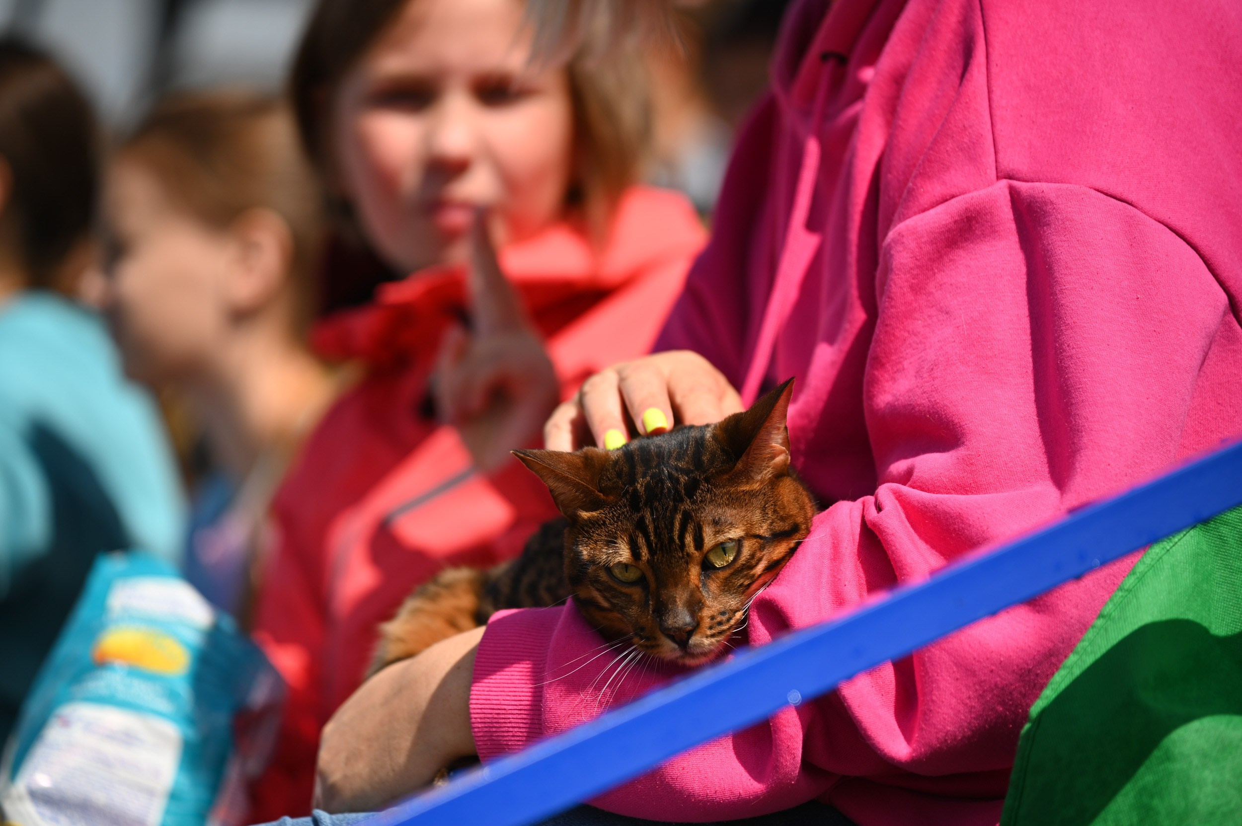 Чемпионат России по пляжному волейболу 2024. Фотограф и видеооператор в Туле | Даниил Рыбак