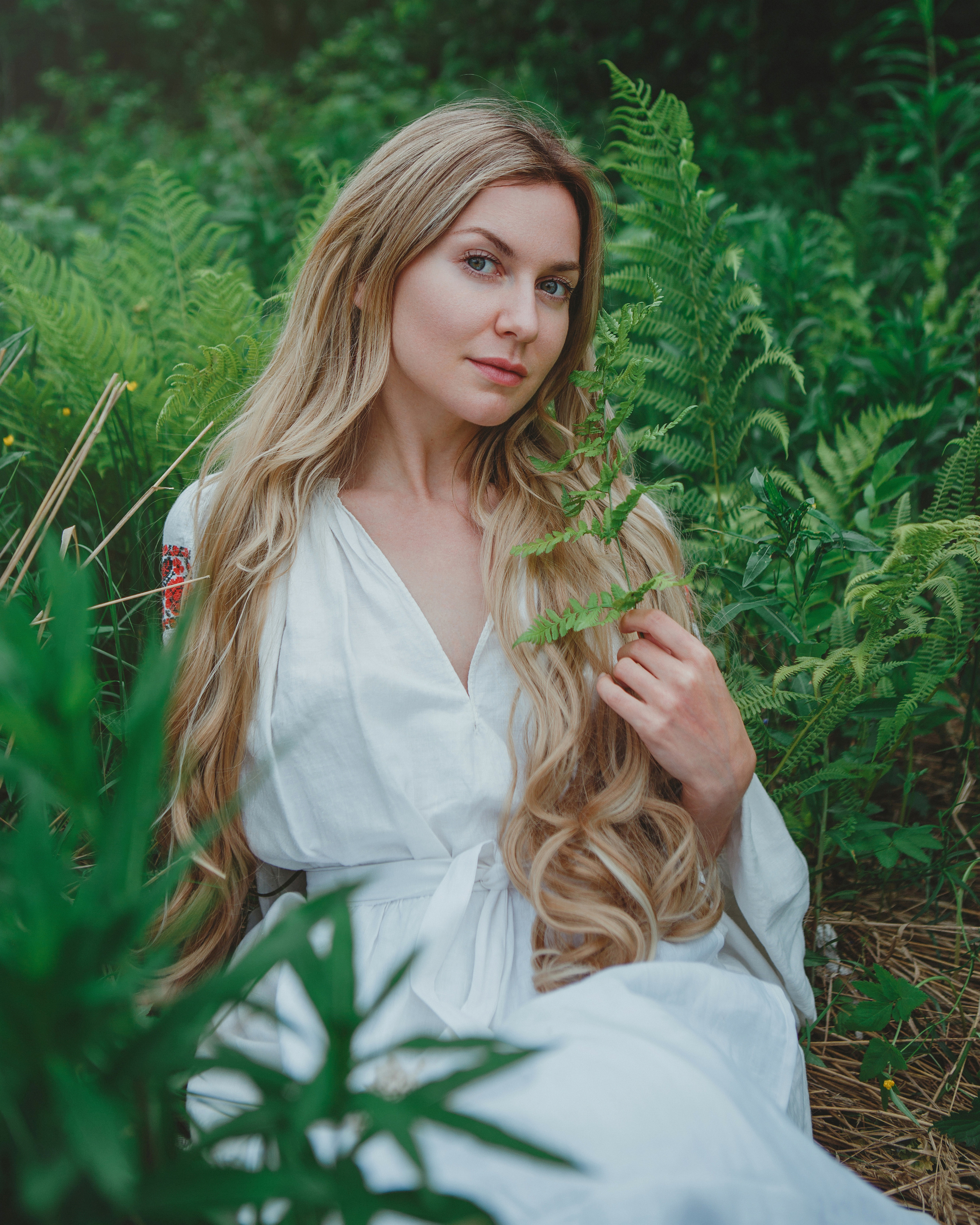 Forest. Photographer Isida Sontz