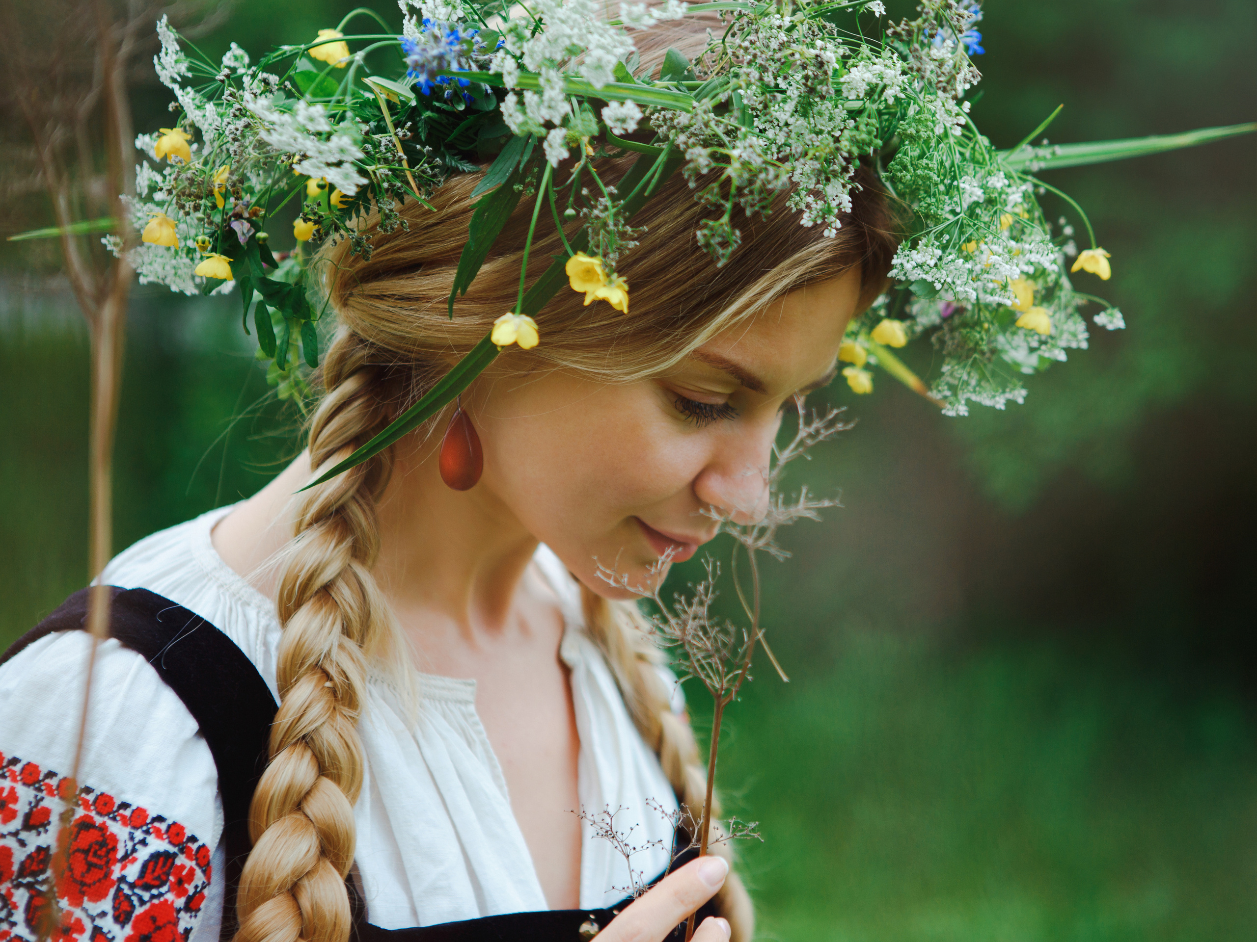 Forest. Photographer Isida Sontz