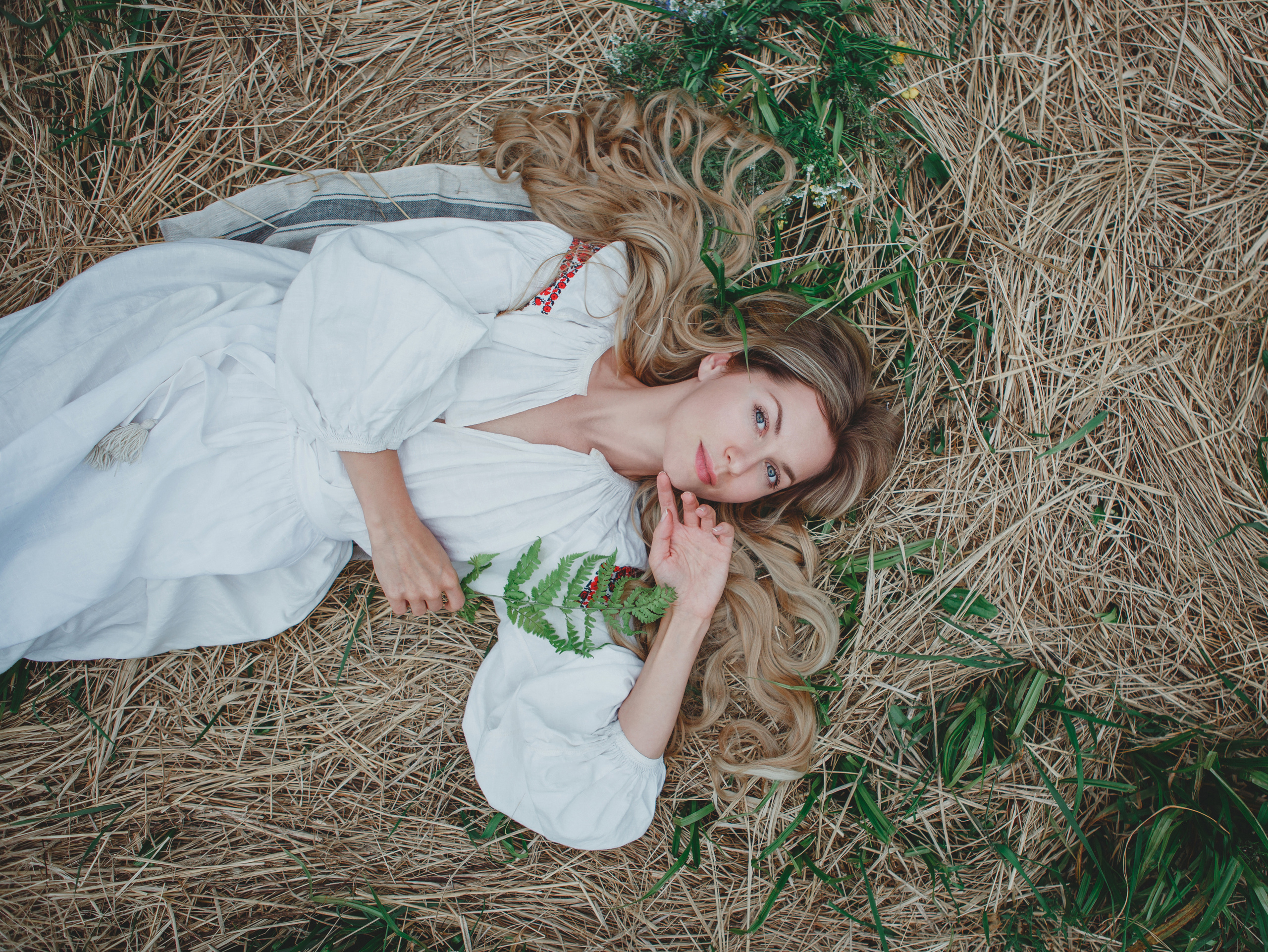 Forest. Photographer Isida Sontz