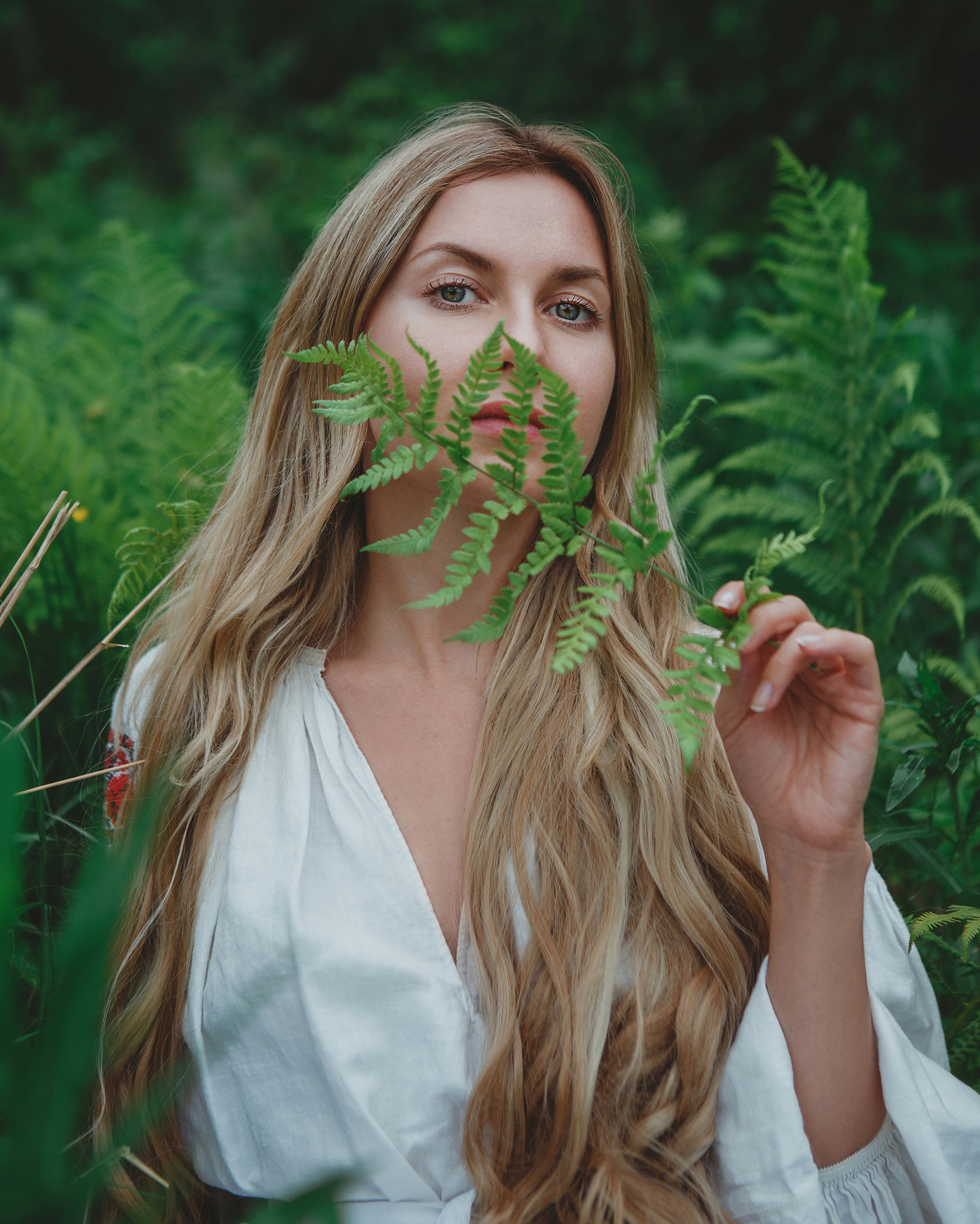 Forest. Photographer Isida Sontz