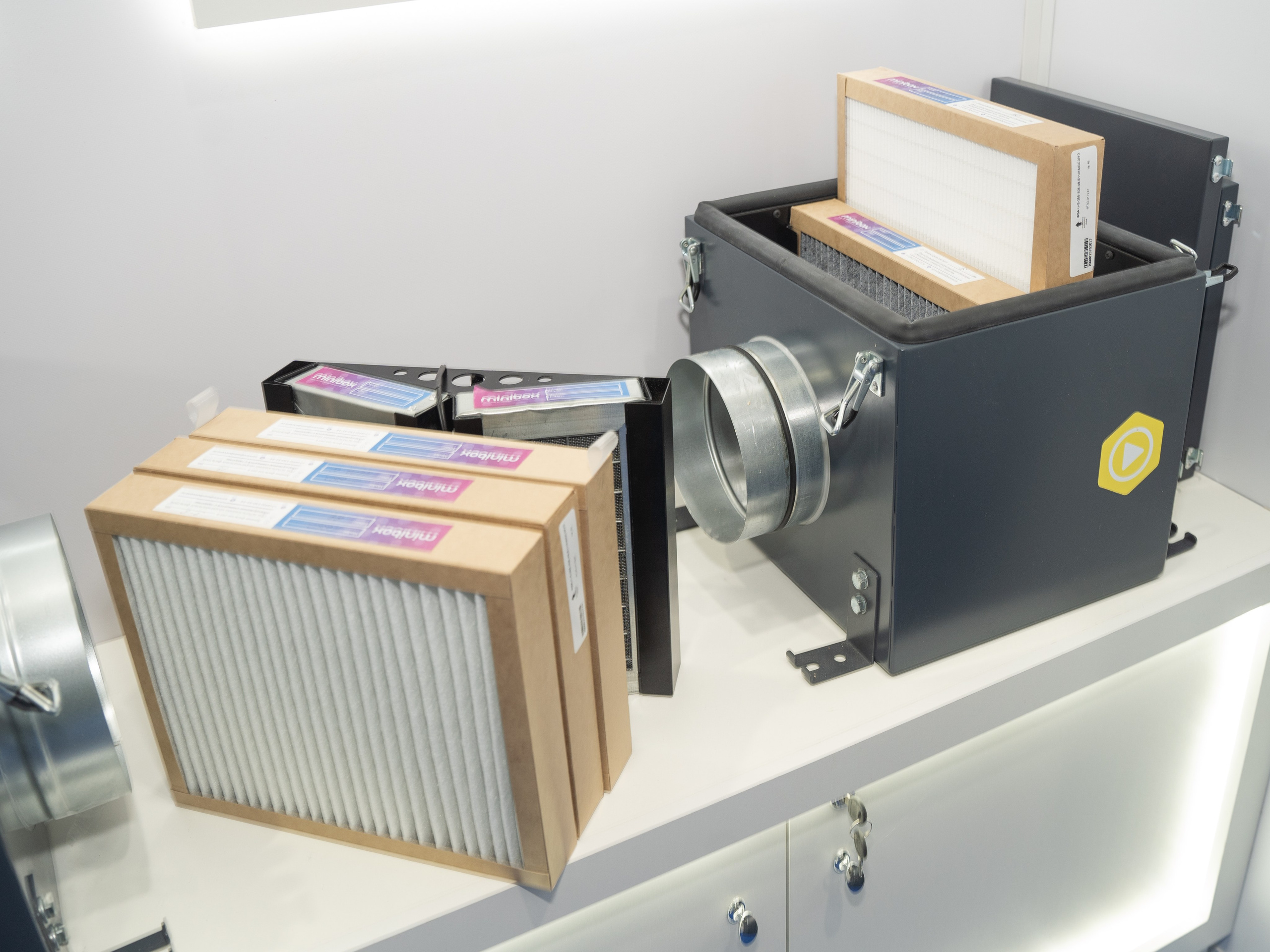 Крокус Вентиляция. Фотограф Зинаида Евдокимова