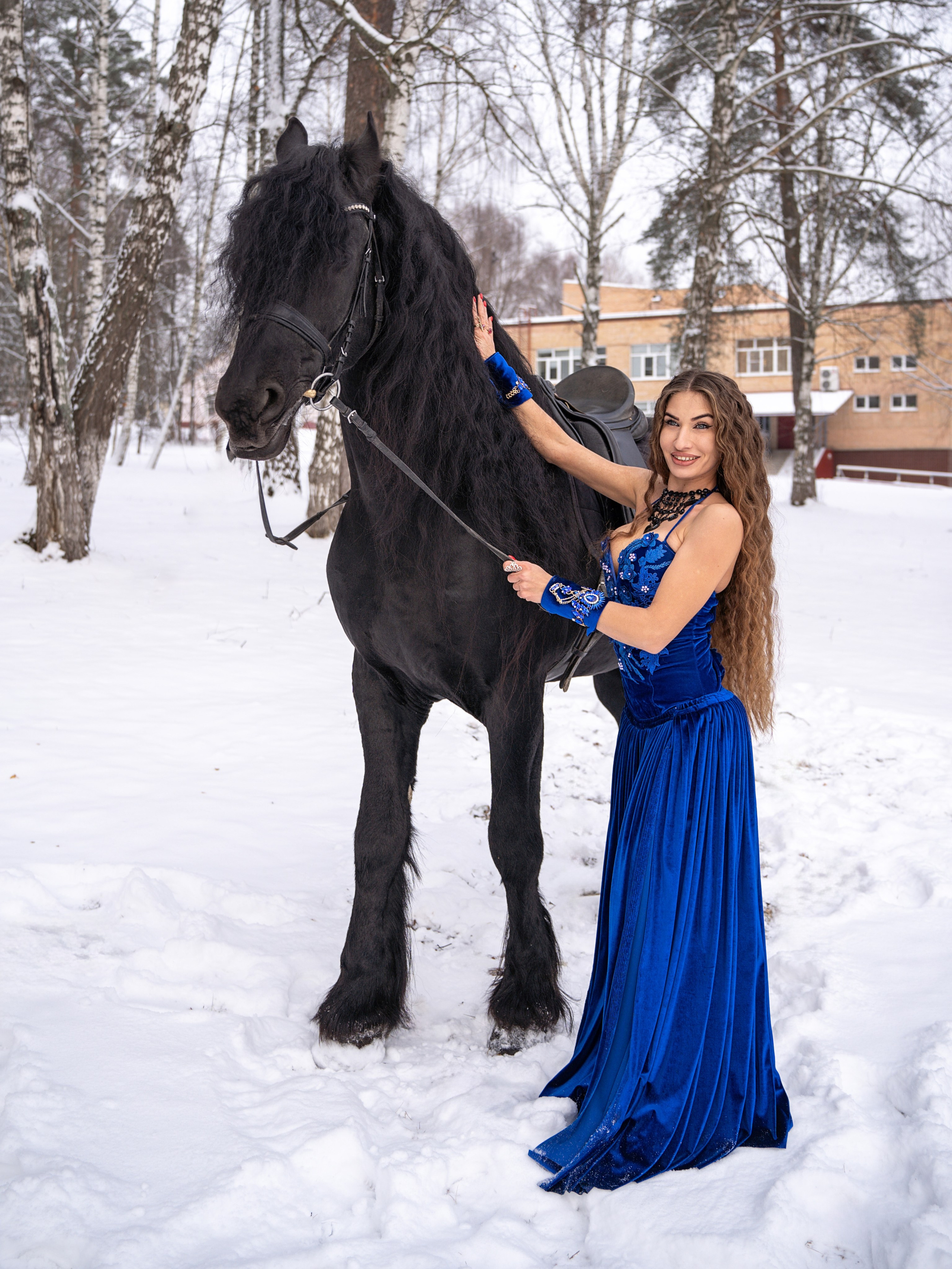 Лошадки зима. Фотограф Зинаида Евдокимова