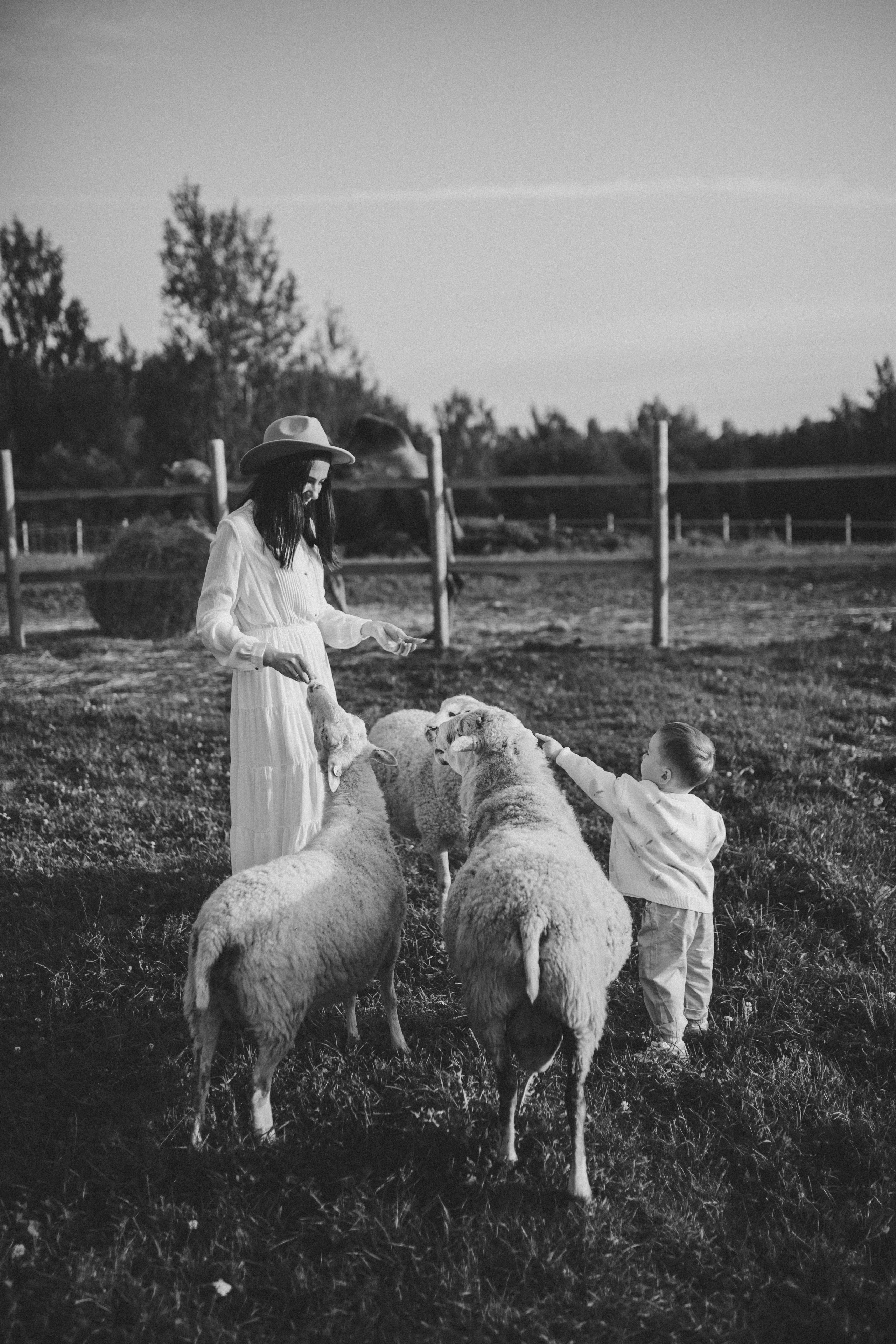 Ферма. Семейный фотограф Кристина Шахура