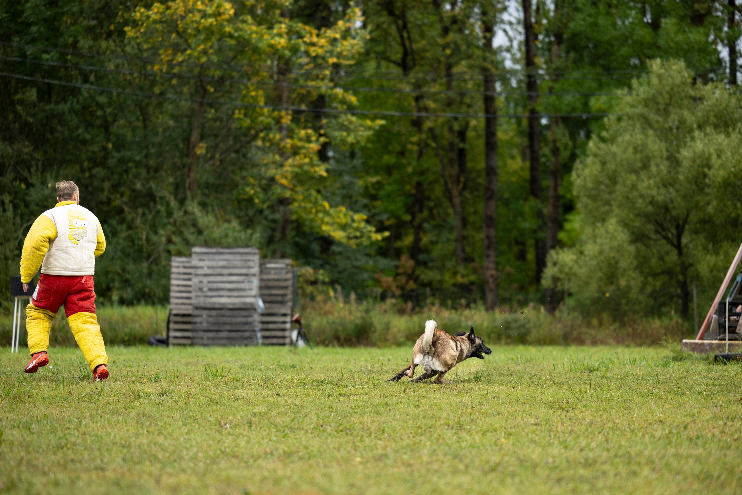 Испытания по Мондьорингу г. Пушкин. Фотограф-анималист Анна Маринич