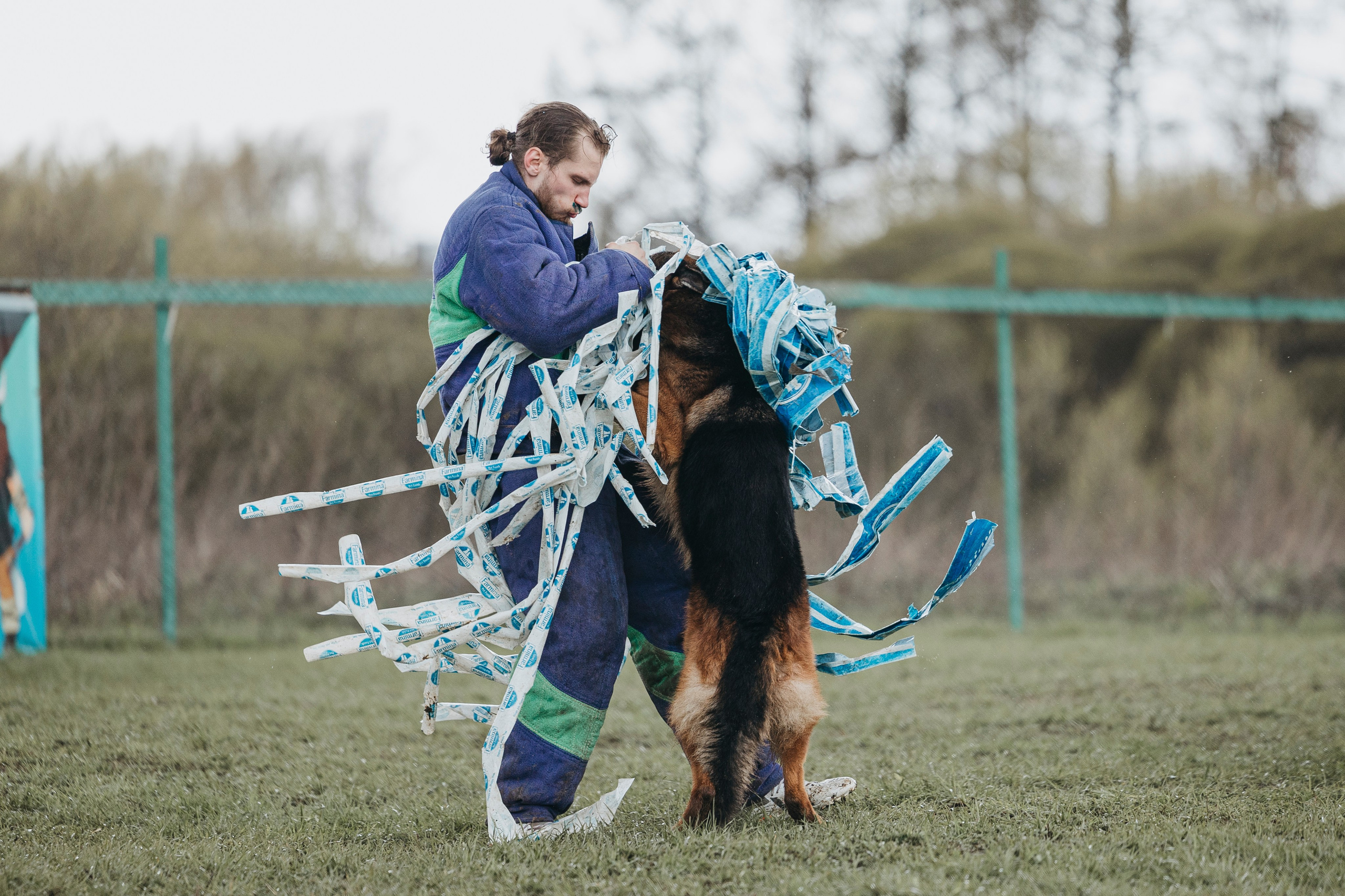 09.05.25 Вологда соревнования. Фотограф-анималист Анна Маринич