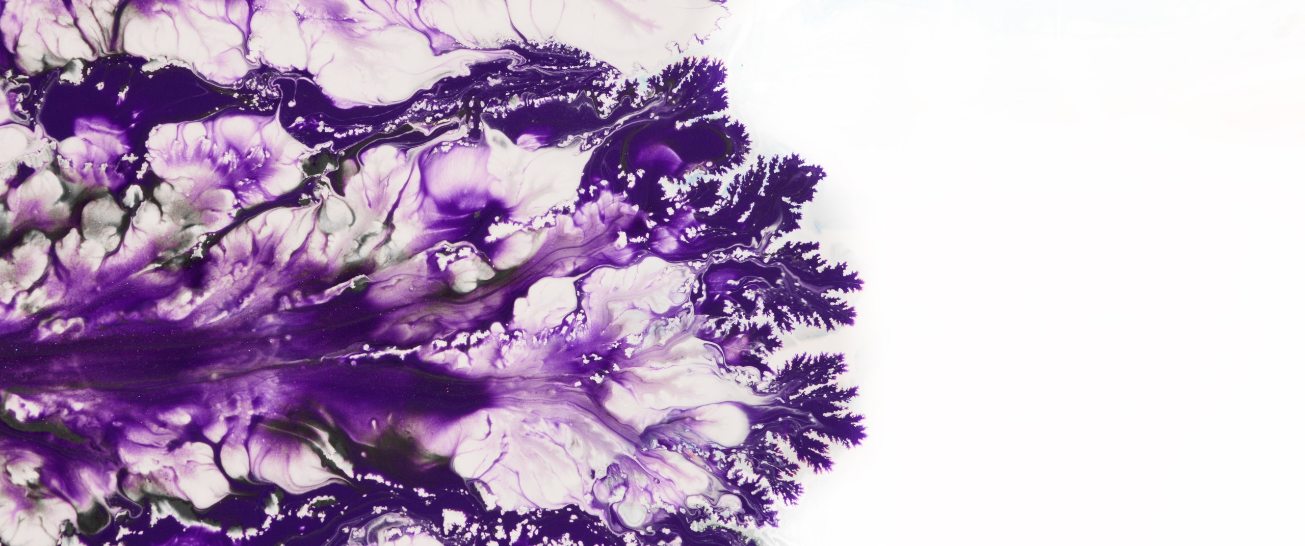 Genesis. Short films by Vadim Sherbakov