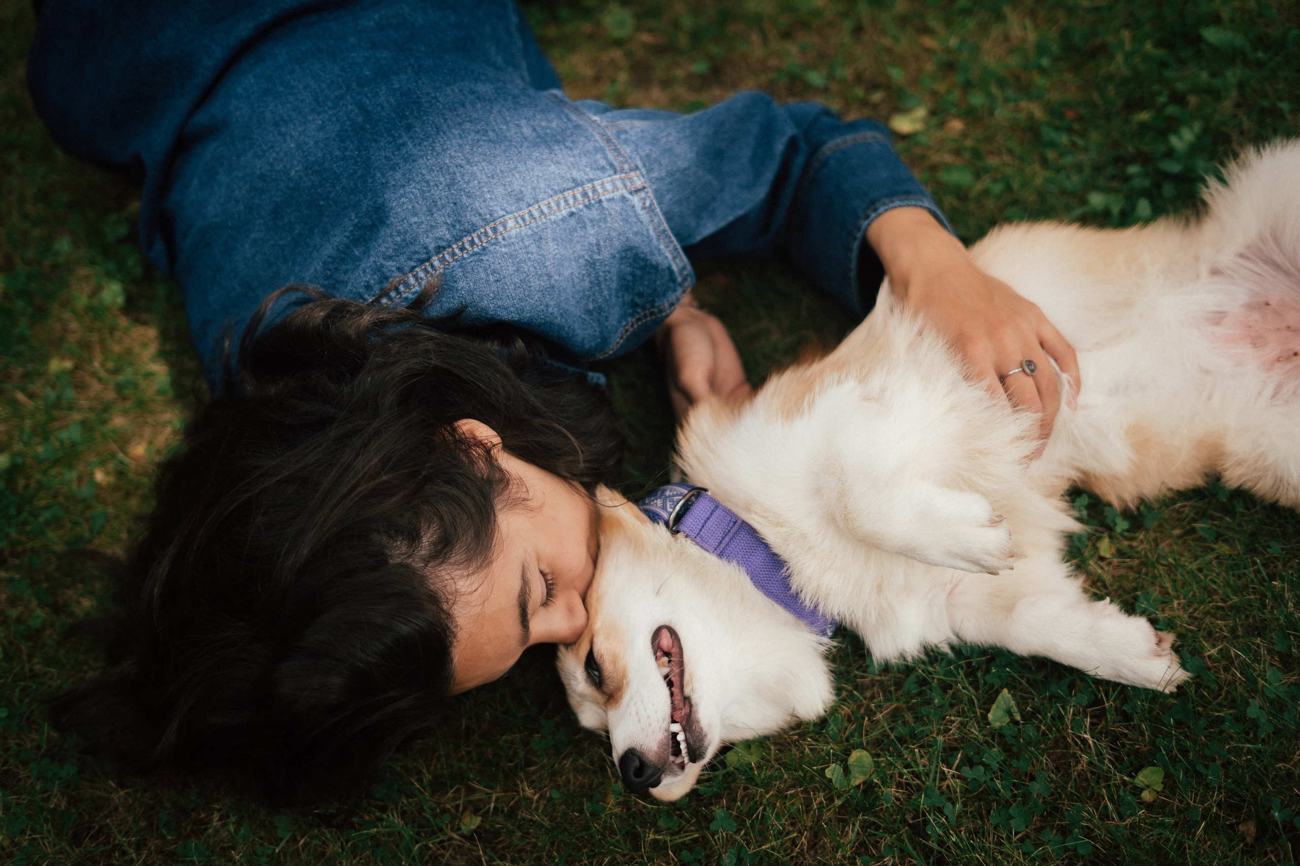 Фотосессия с собакой сахалин. Фотограф сахалин