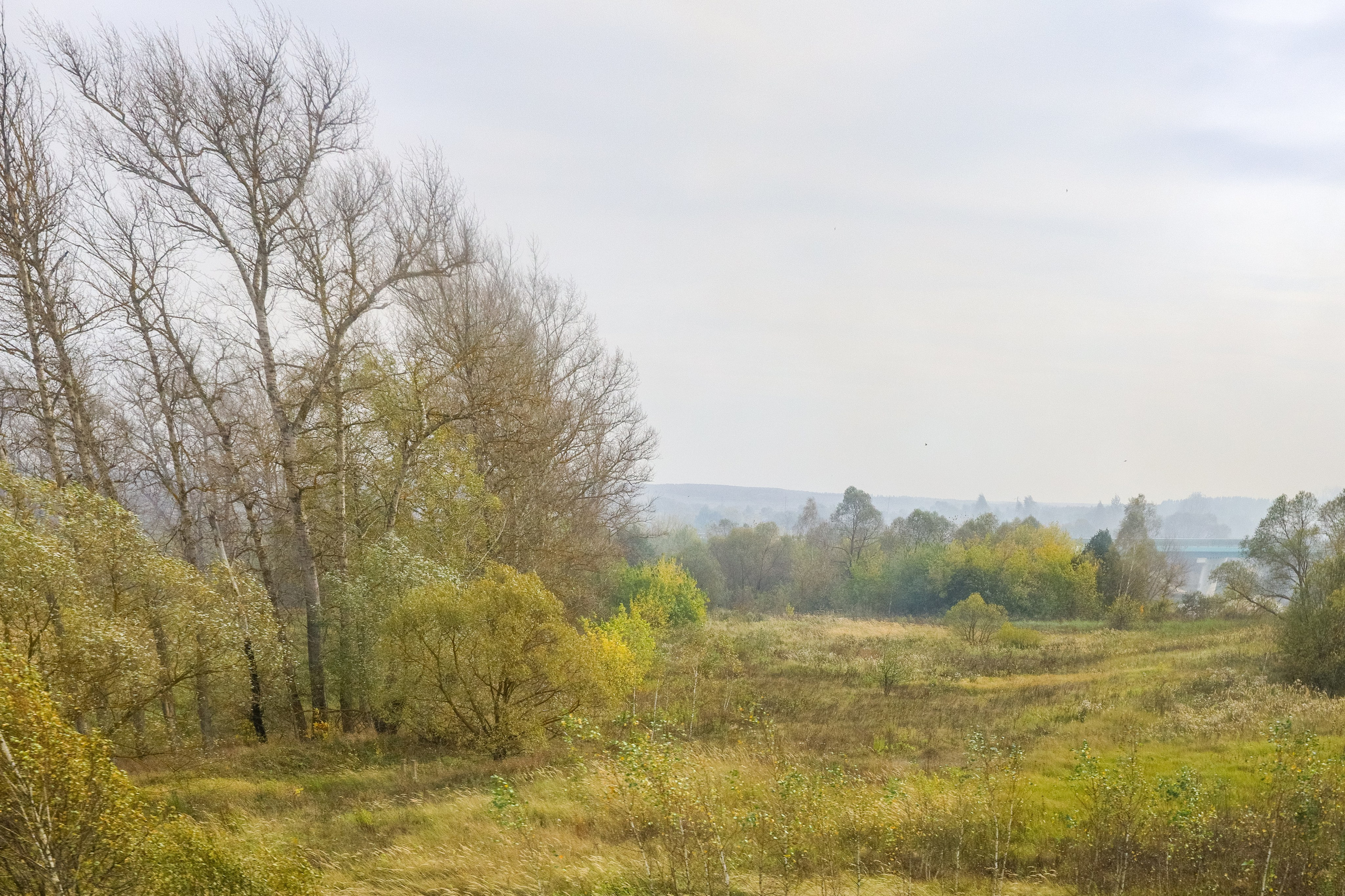 Поездка в Белев и на производство пастилы. Фотограф в Туле Крупский АнДРей. Фотостудия «КАДР71» в Туле
