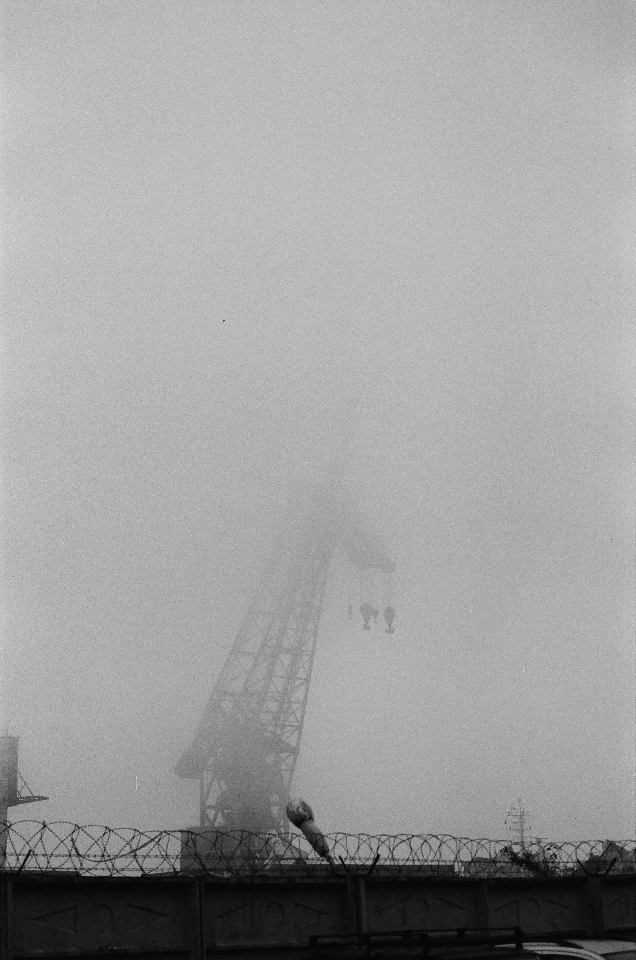 Dispersed Presence. Film and another stuff