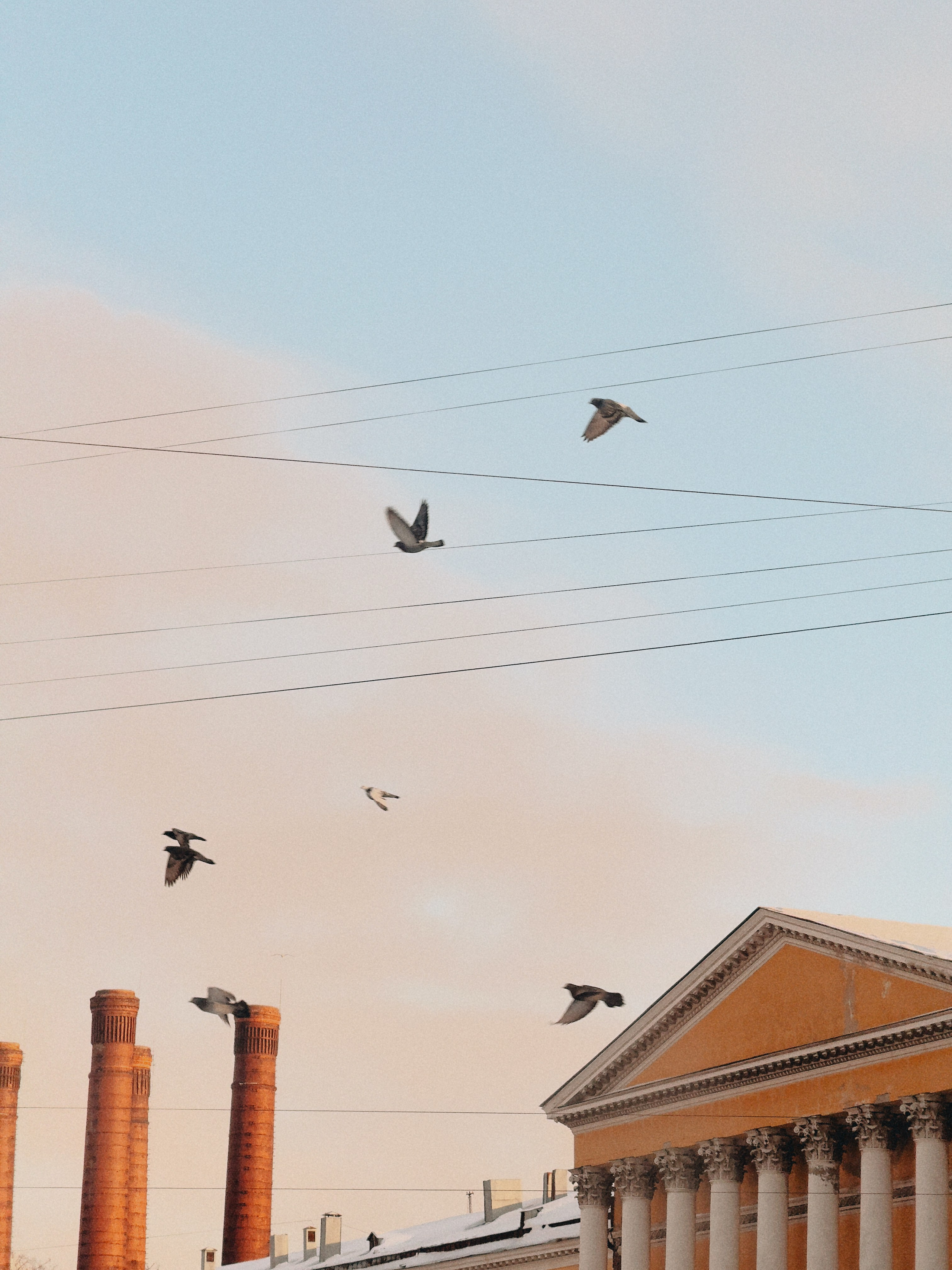 Телефон. Film and another stuff