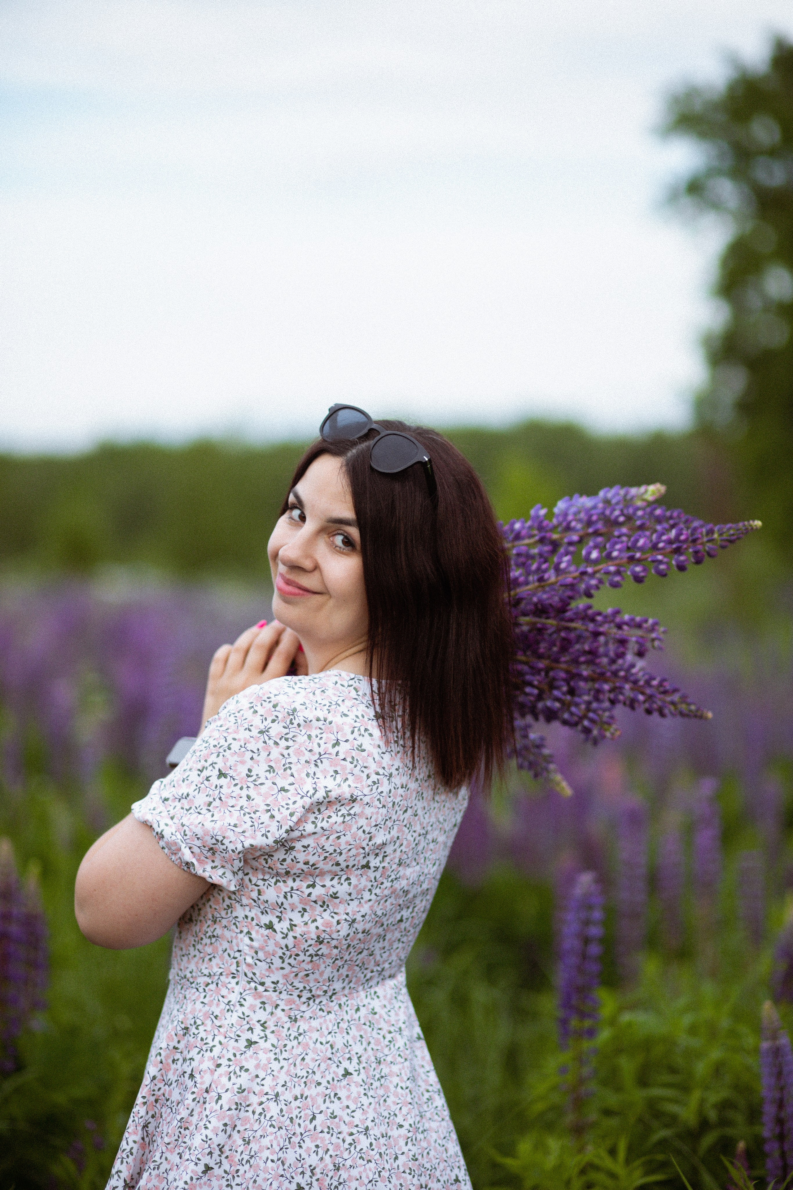 Июньские люпины. Фотограф в Москве/Санкт-Петербурге