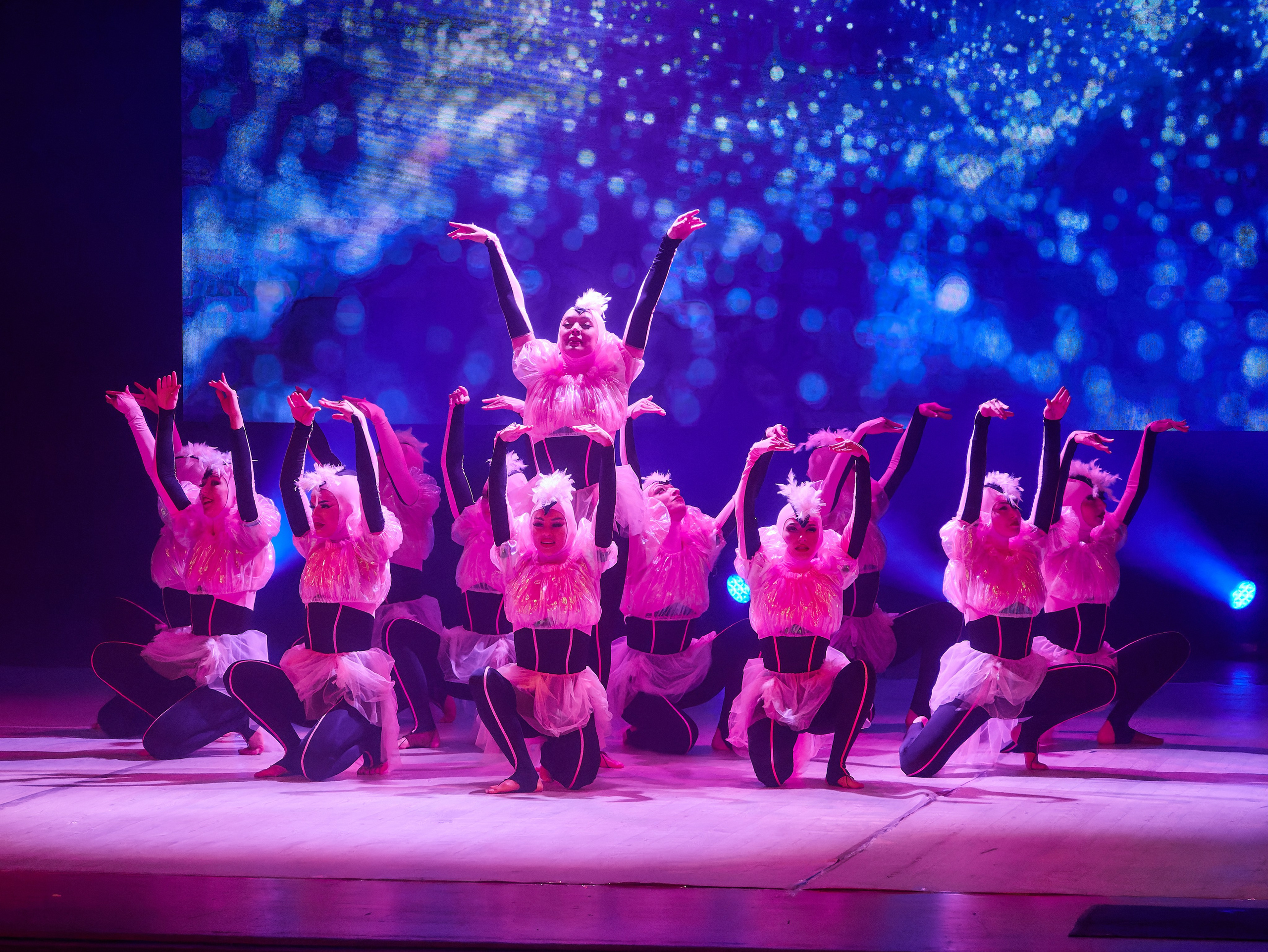 TODES-это уникальный танцевальный мир, вселенная Аллы Духовой!. Семейный и детский фотограф в Междуреченск Олег Бамбульский