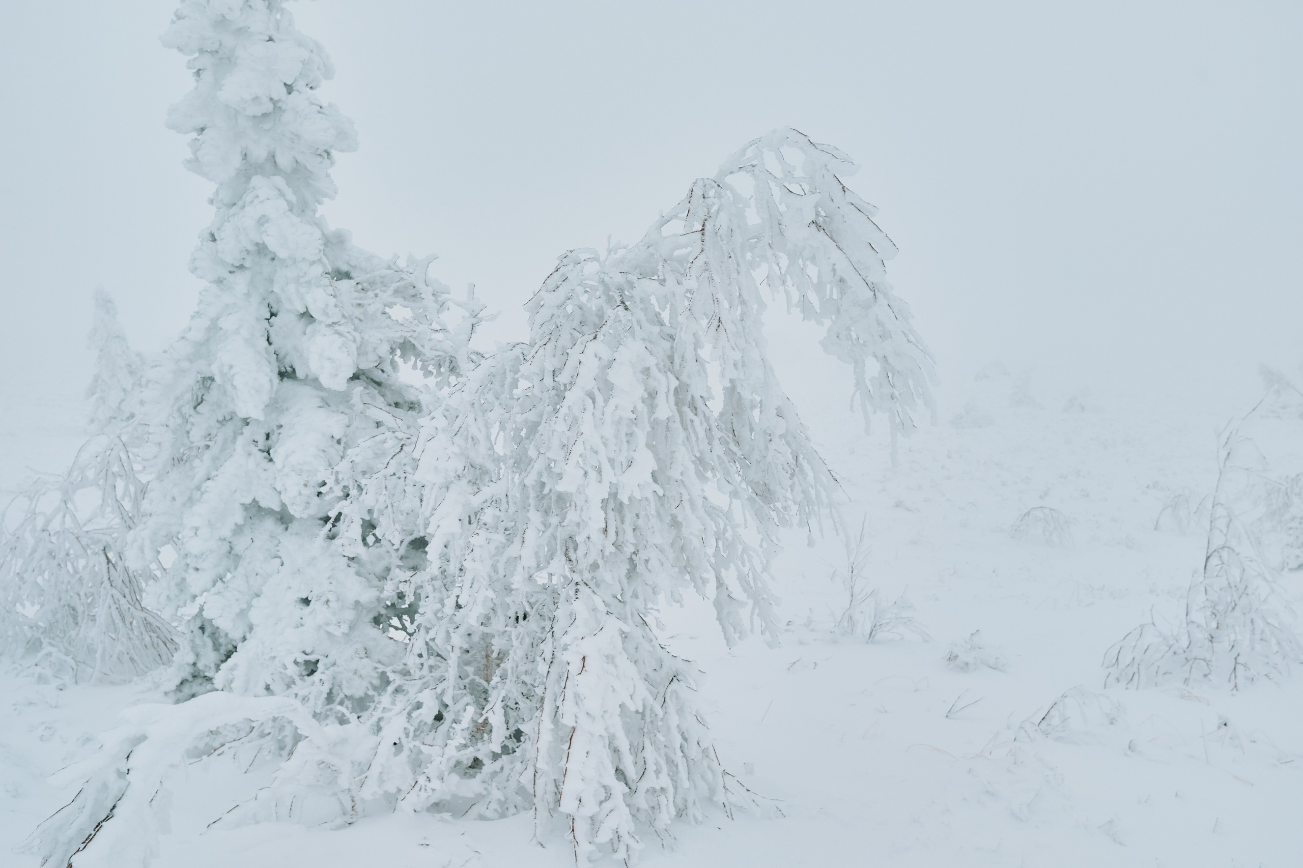 Travel. Фотограф в Челябинске — Дмитрий Носов