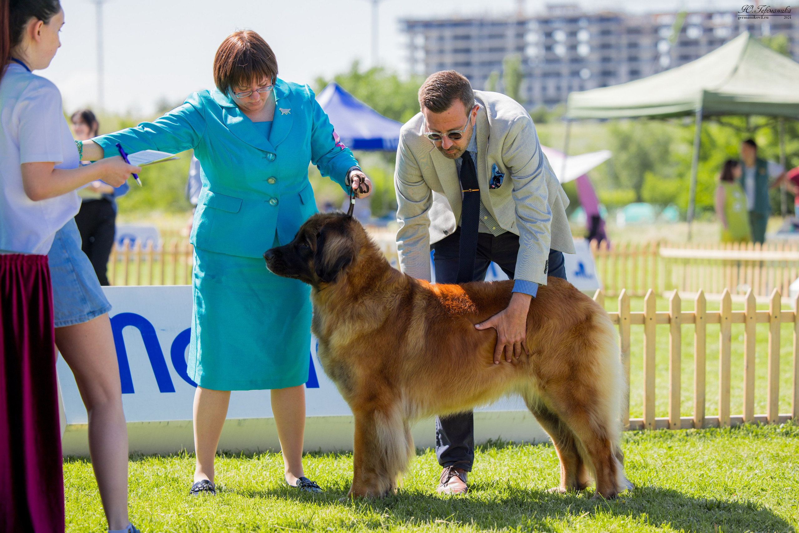 Ереван 3-5.06.2024. Фотограф-анималист Юлия Германика