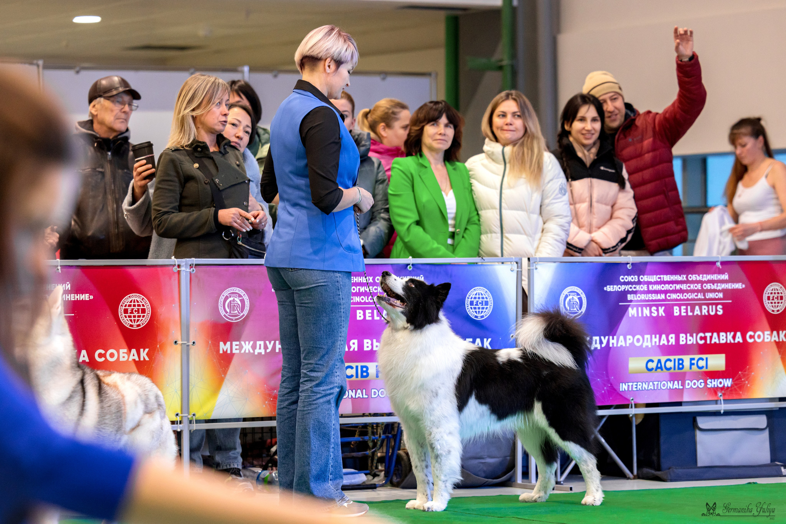 Минск 25-26.11.2023. Фотограф-анималист Юлия Германика