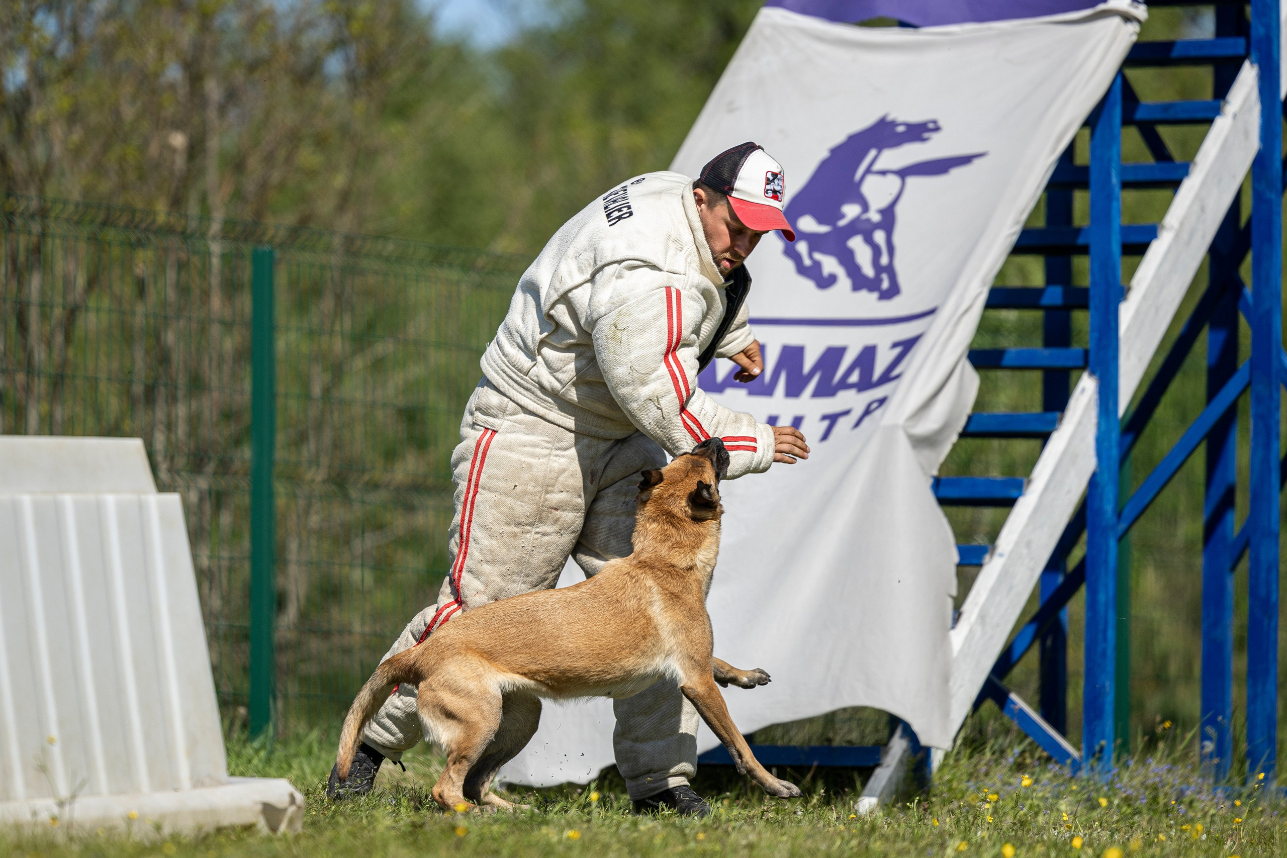 Испытания по мондьорингу в Нижнем Новгороде. Фотограф-анималист Анна Маринич