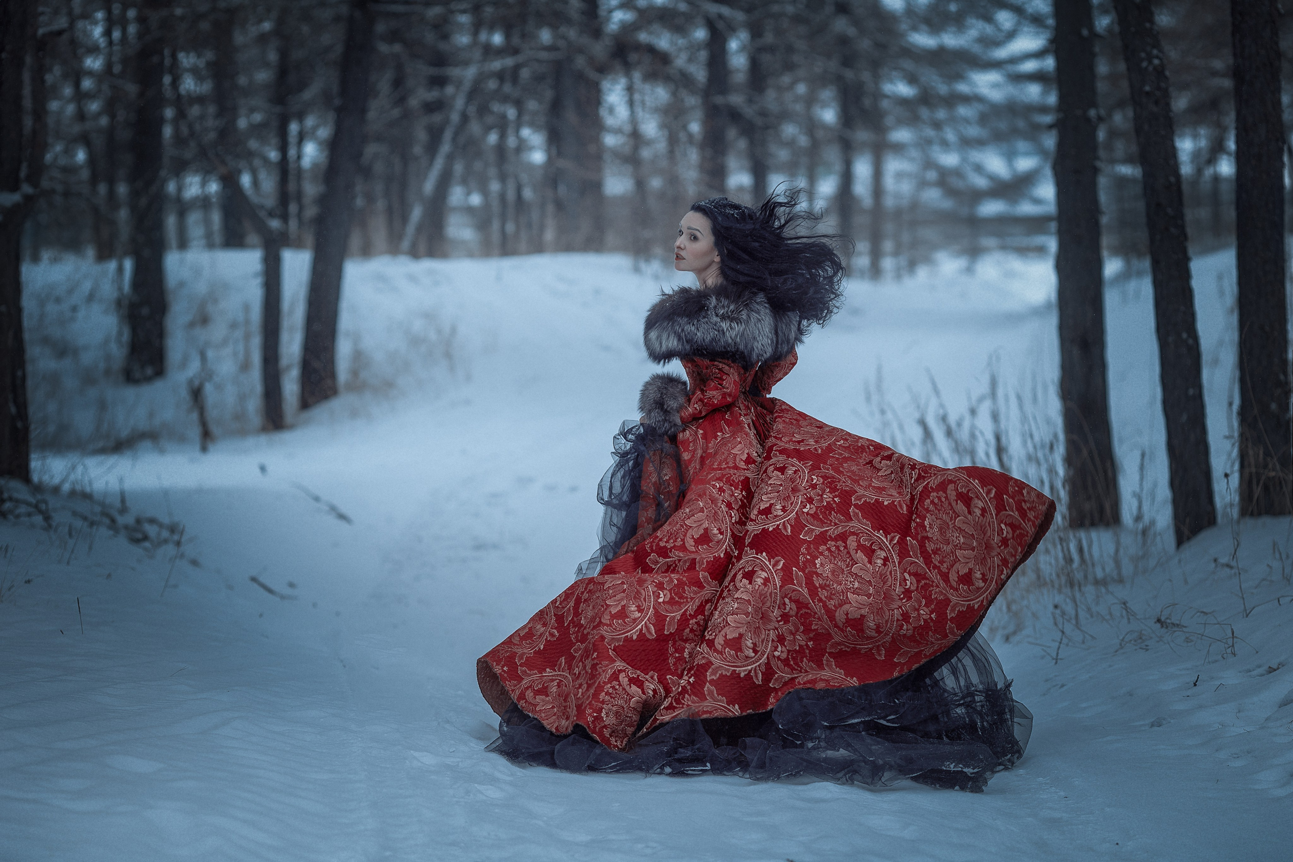 Клюква. Фотограф Алёна Яковлева