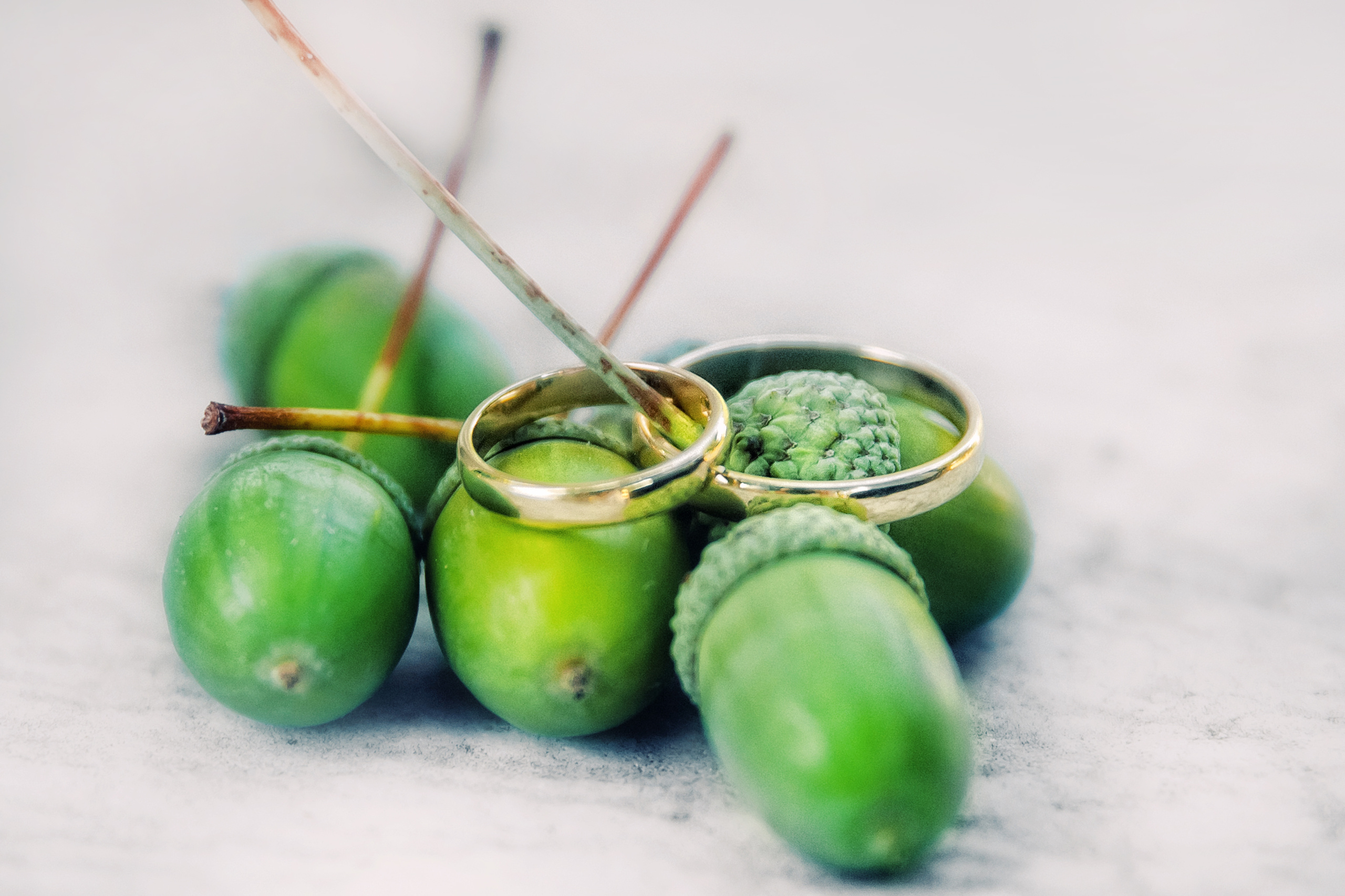 Елена и Павел. Свадебный фотограф Марина Терёшина