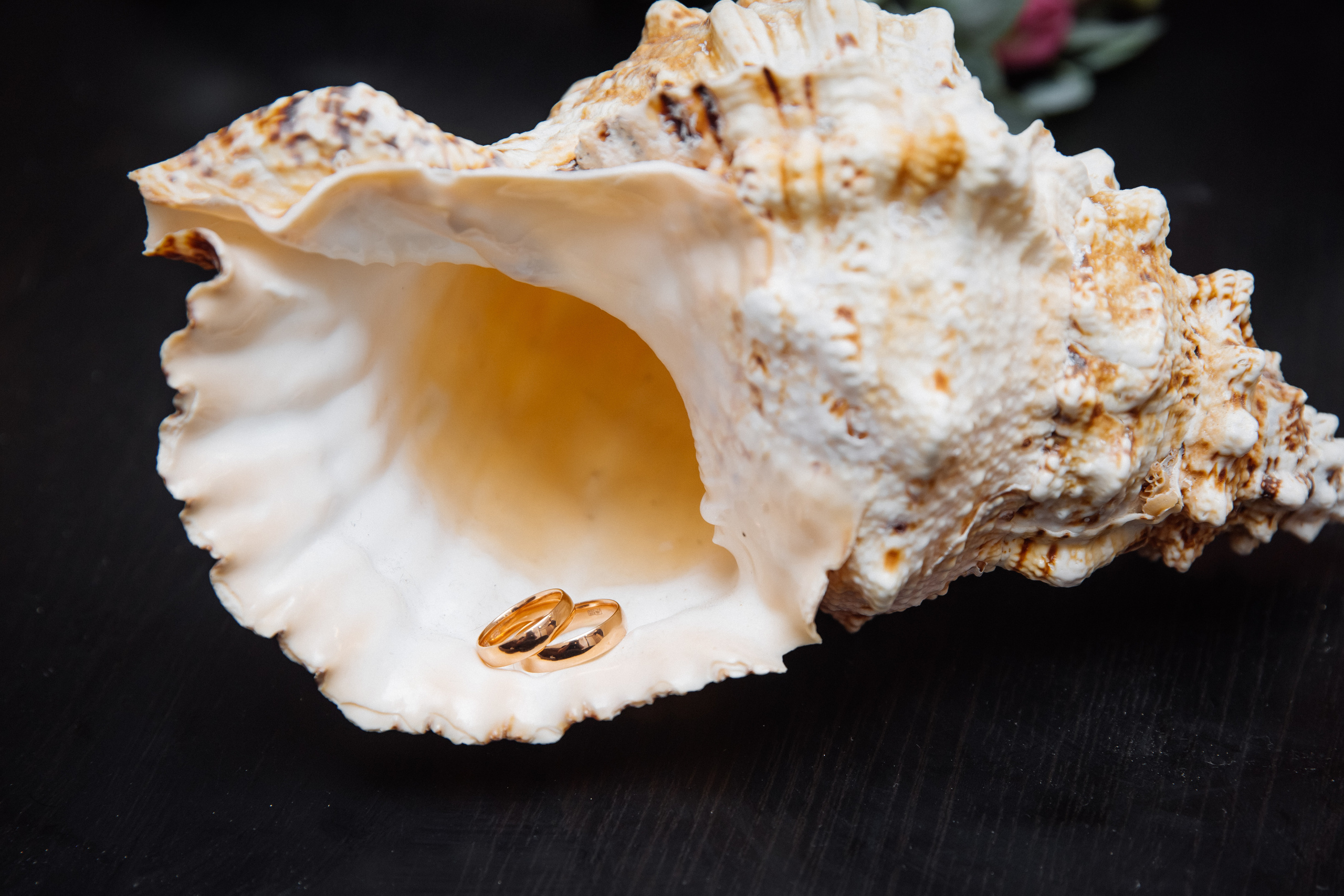 Татьяна и Андрей. Свадебный фотограф Марина Терёшина